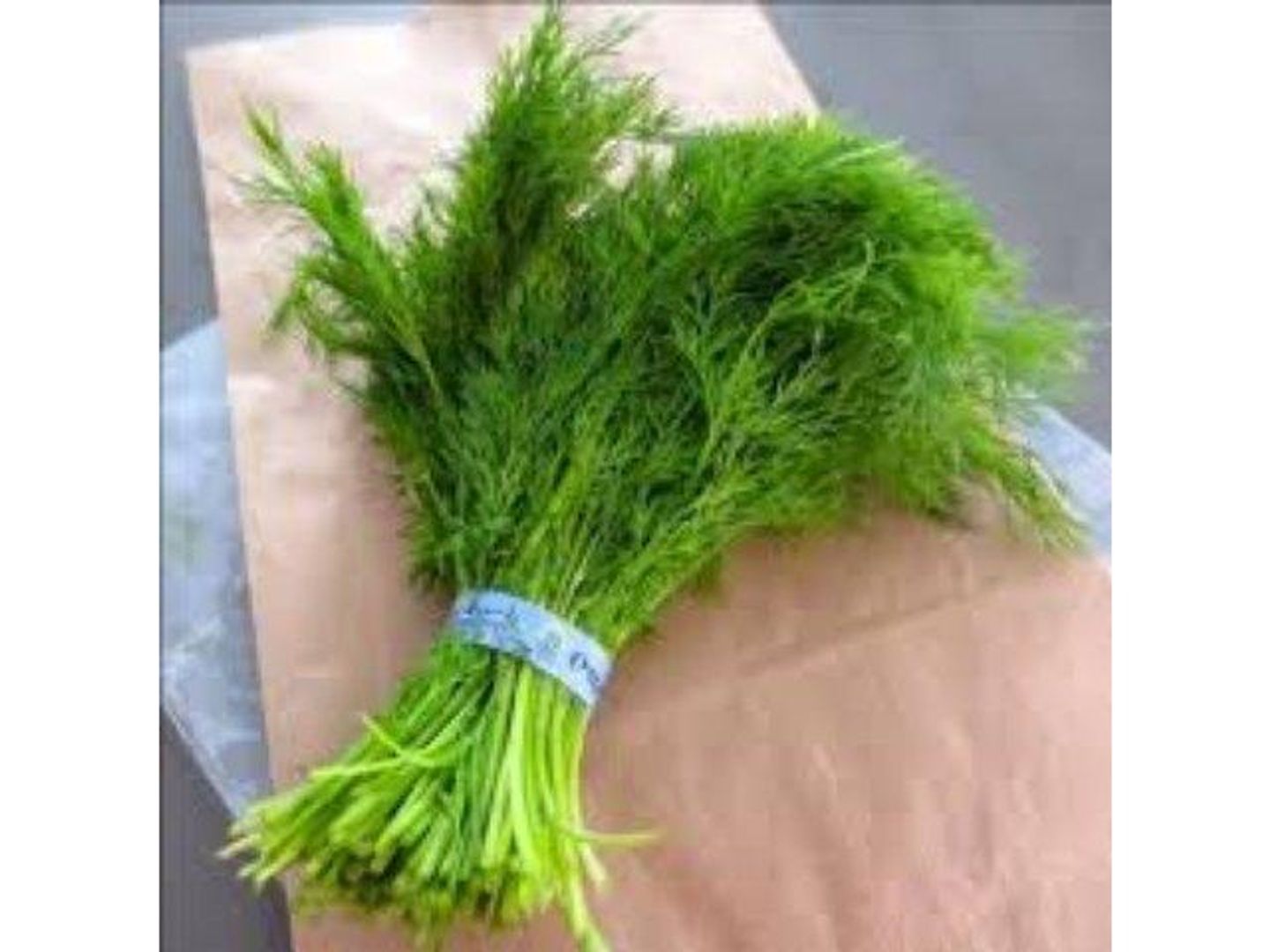 Dill