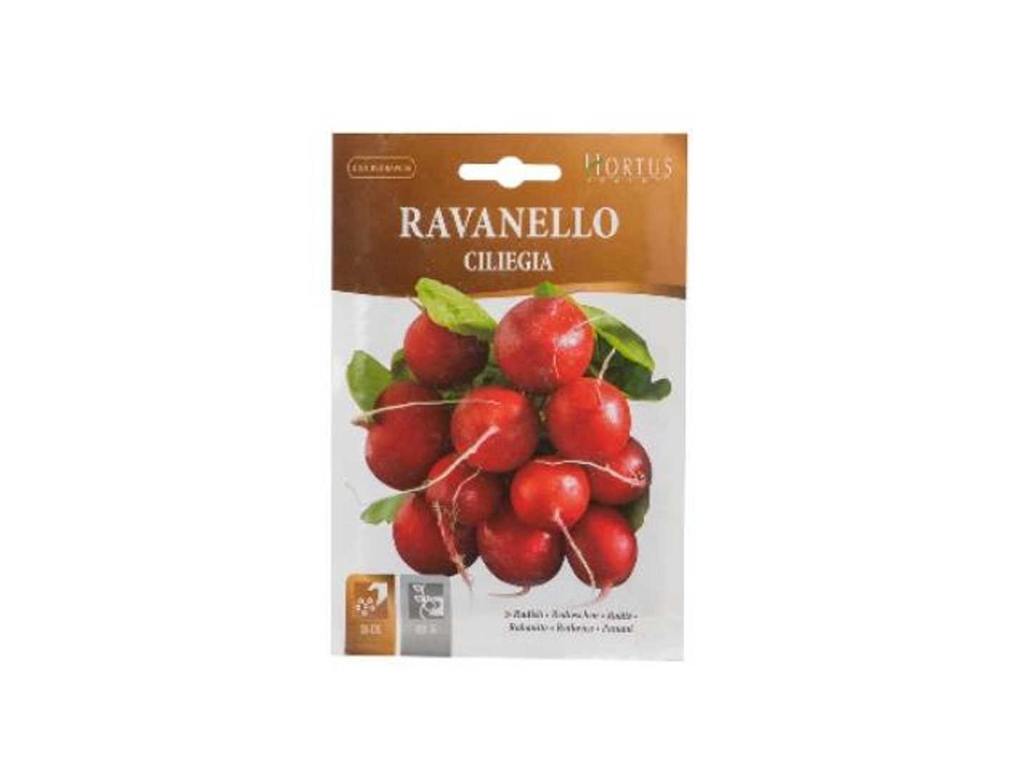 Radish Seeds