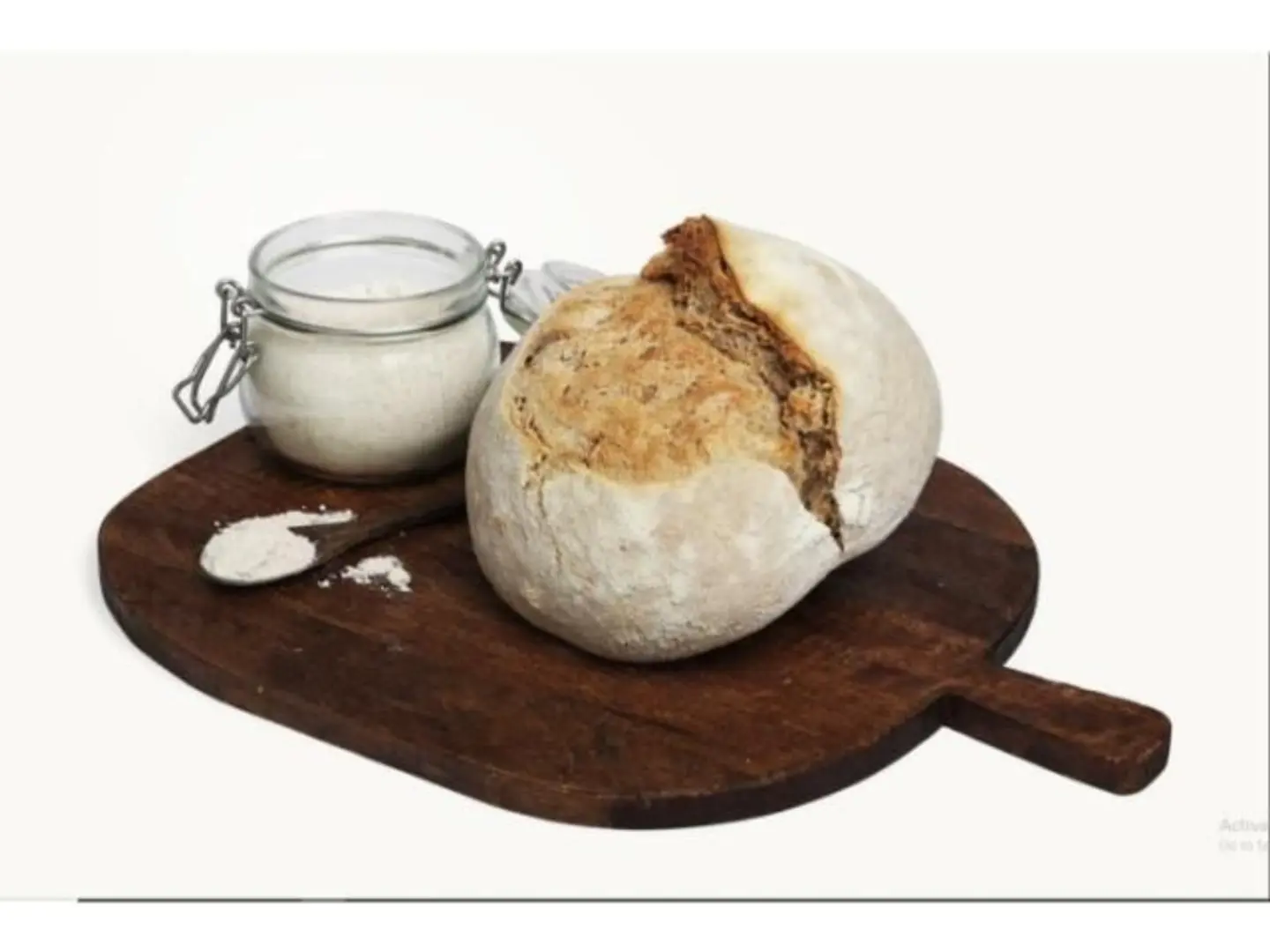 Whole Wheat Flour Bread