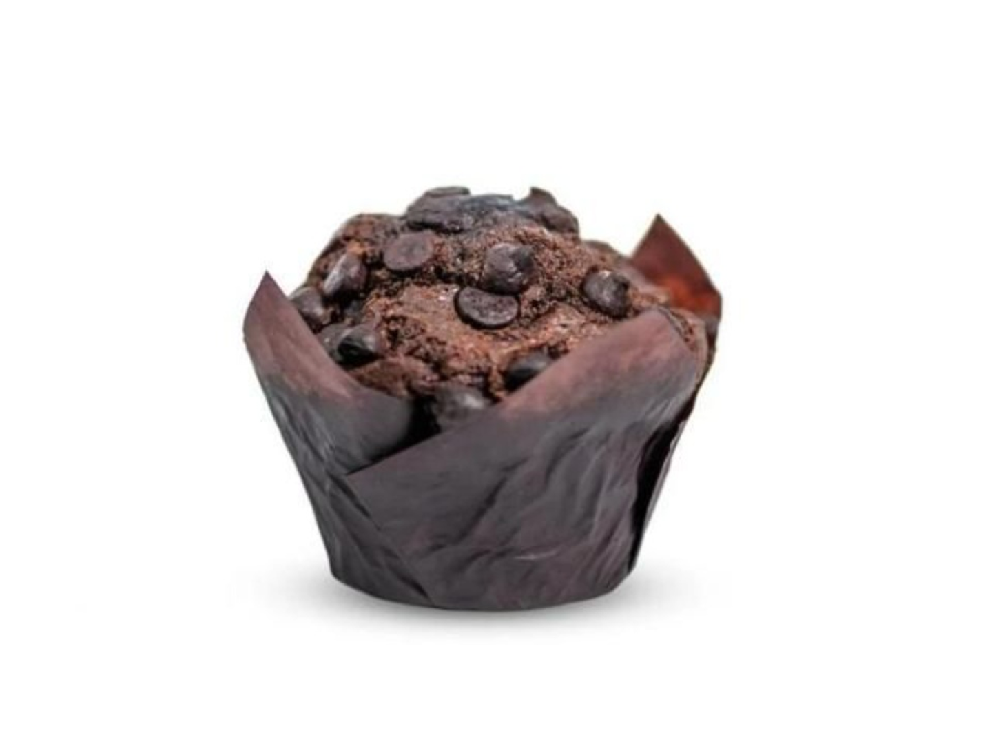 Chocolate Muffin