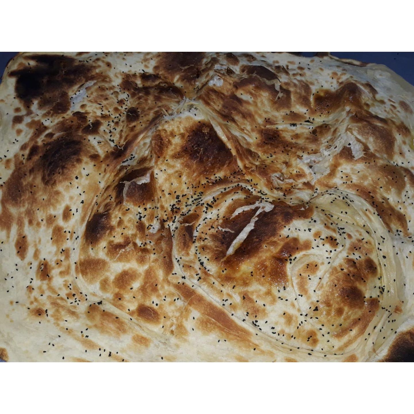 Rashoush