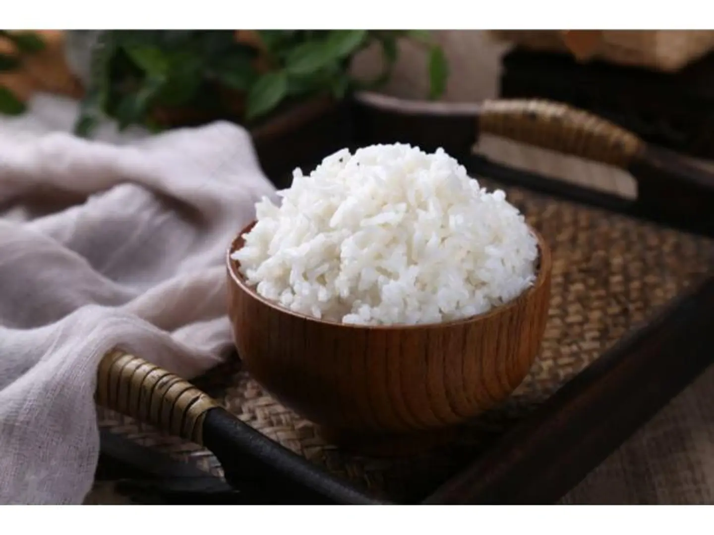 Rice Small Bowl