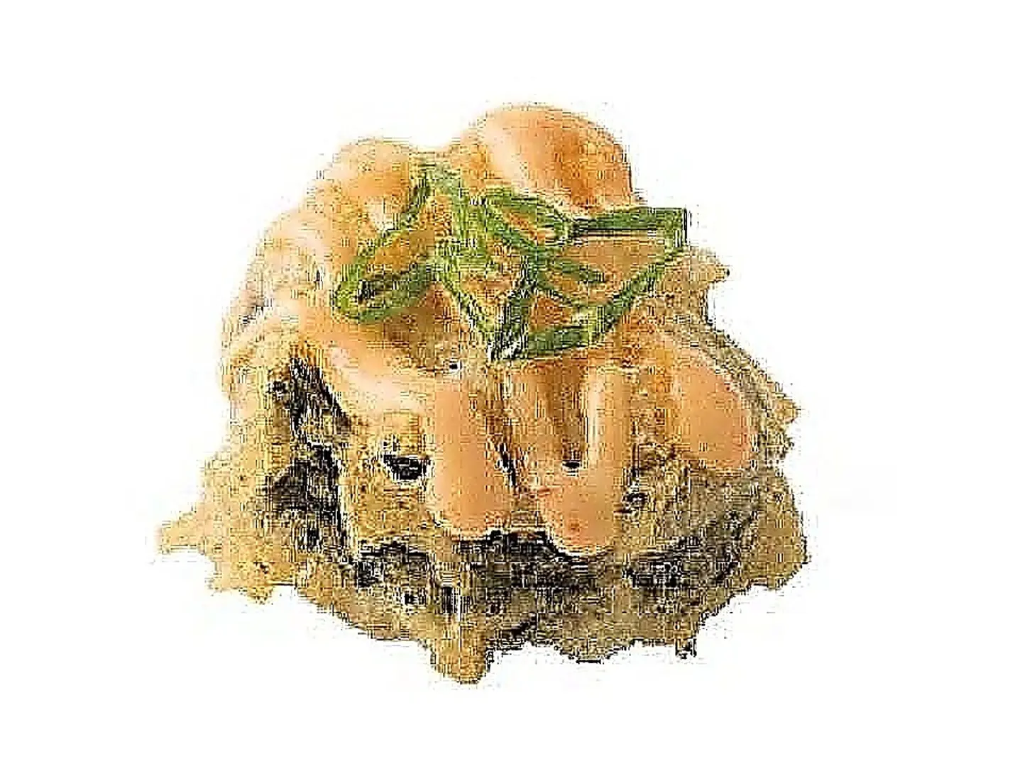 معصوب عرائسي