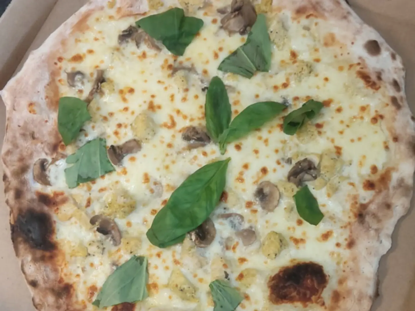 بيانكا تشيكن