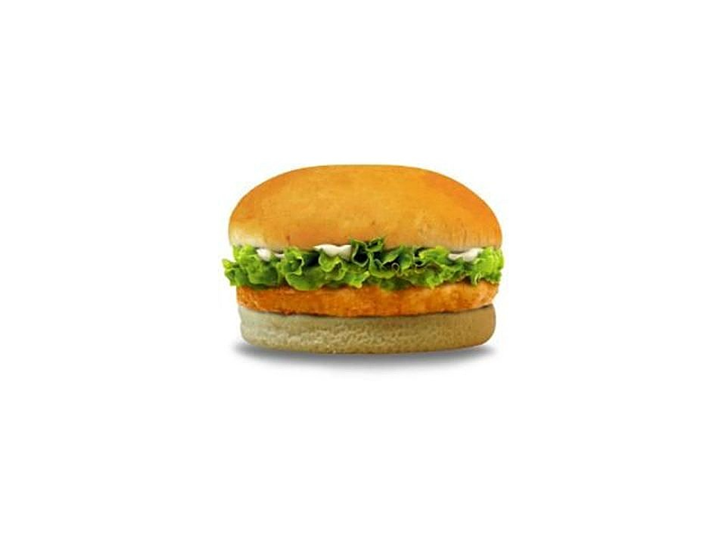 Small Chicken Burger Sandwich