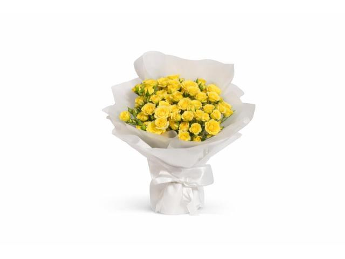 باقة وهج بيبي روز