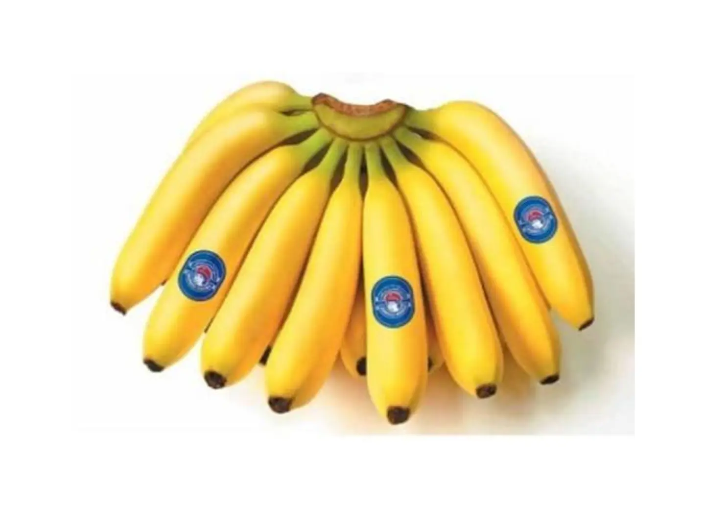 Bananas 1 Kg