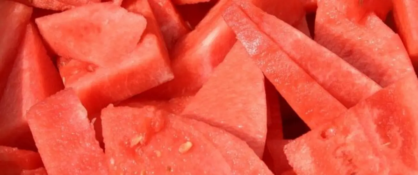بطيخ