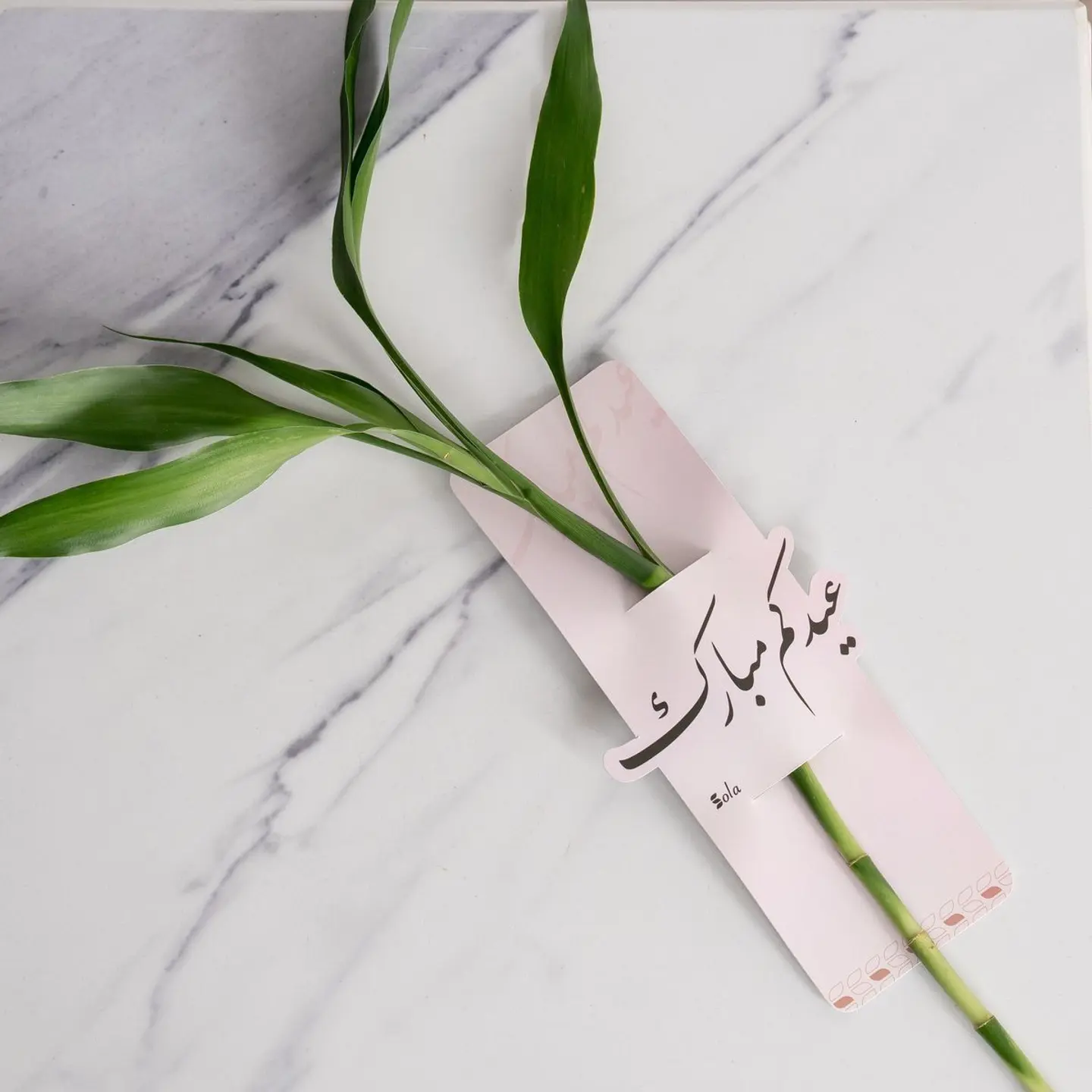 تاق بامبو العيد