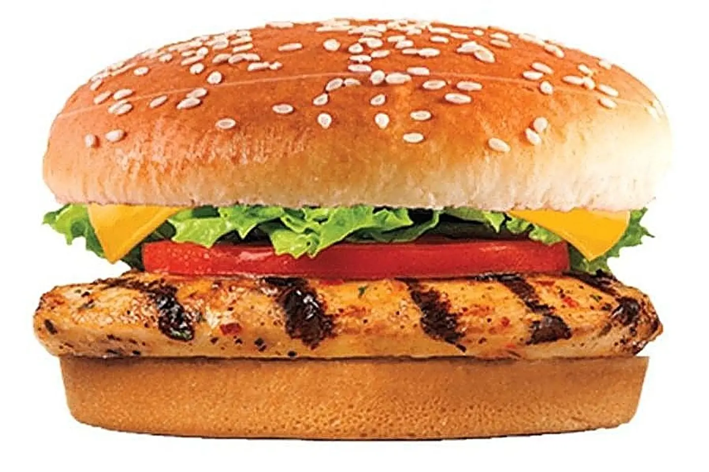 Grilled Chicken Burger
