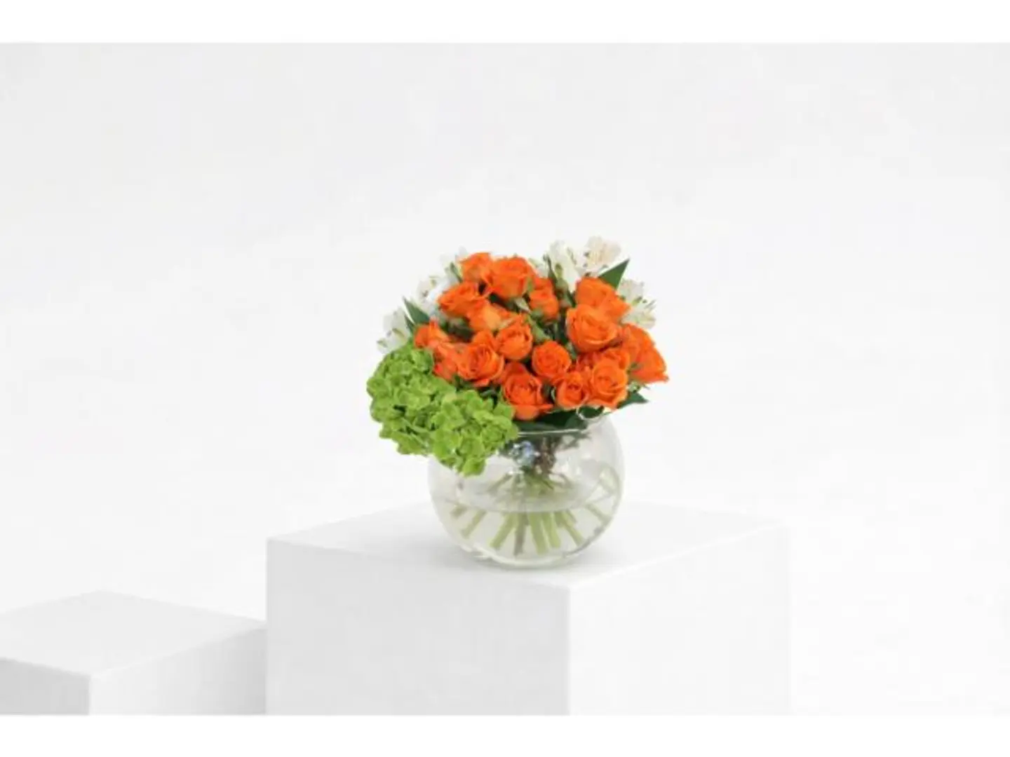 فازة الامتنان