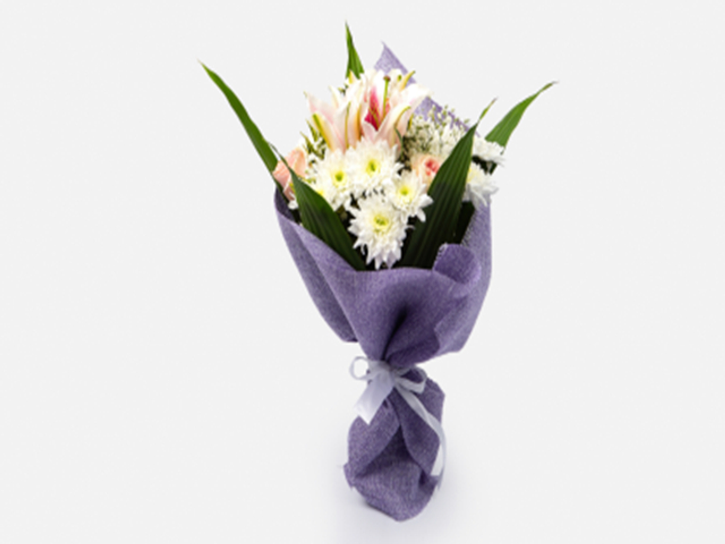 Mobhega Package