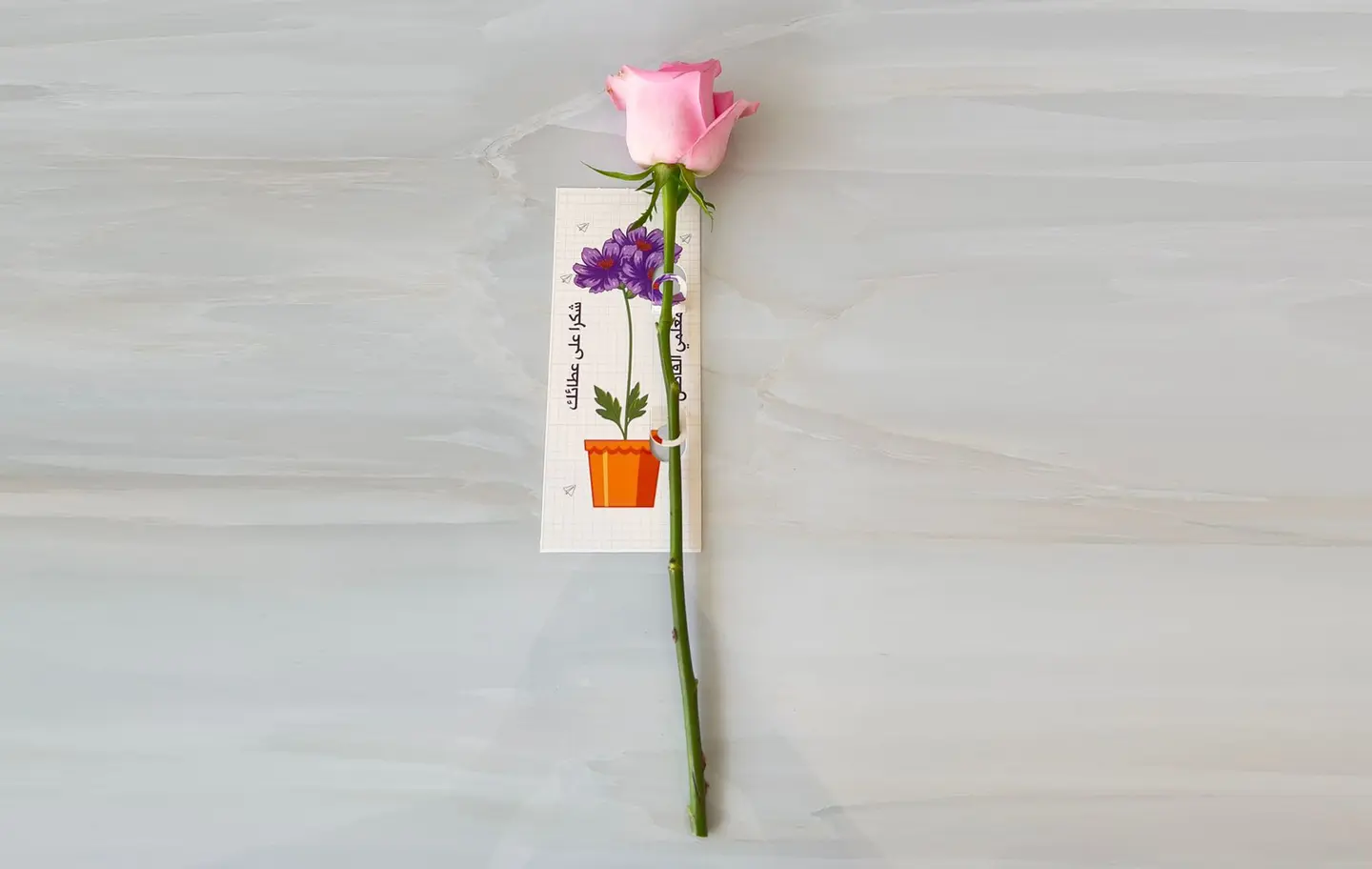 يوم المعلم توزيعات ورد