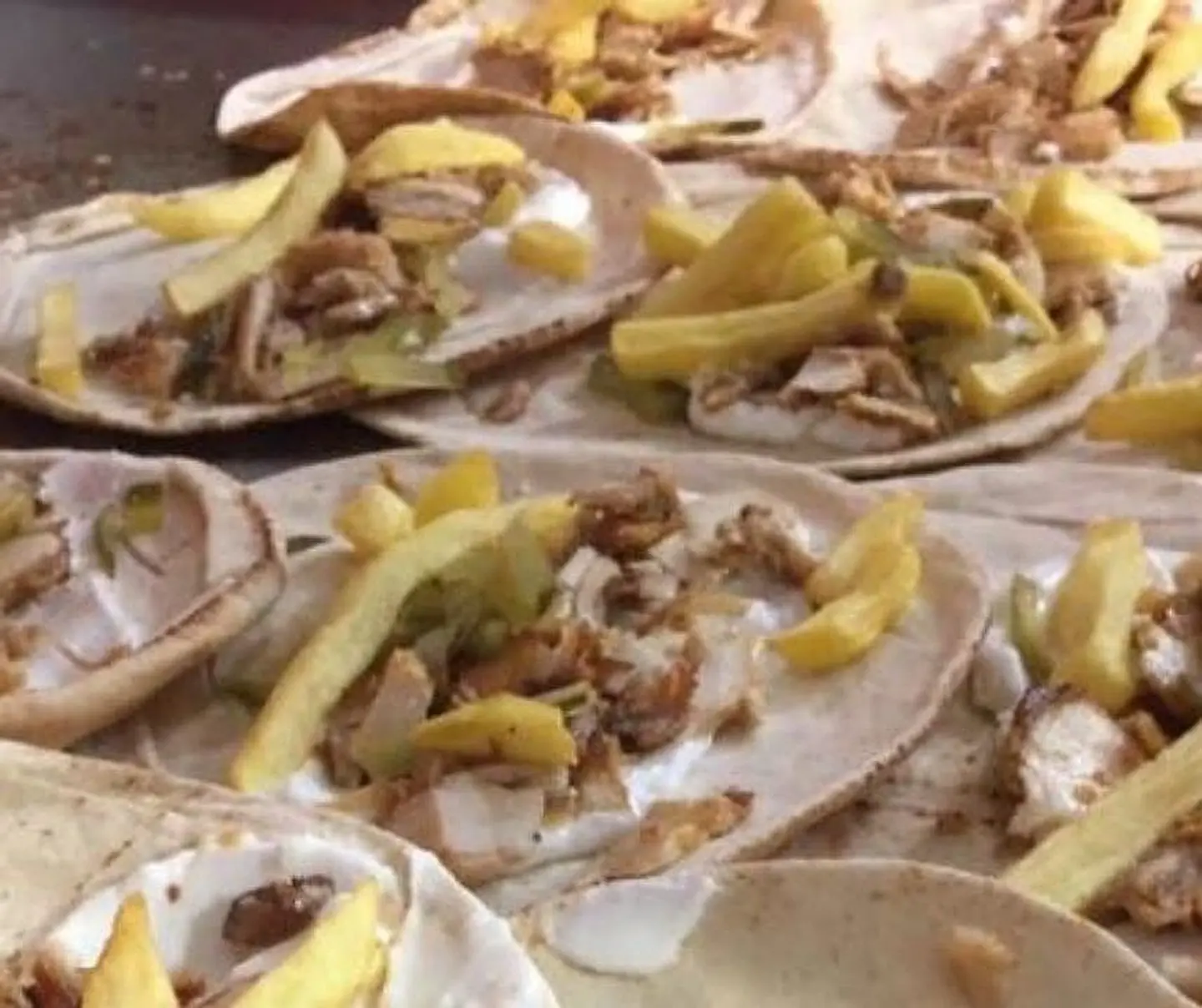ساندوتش شاورما عيش