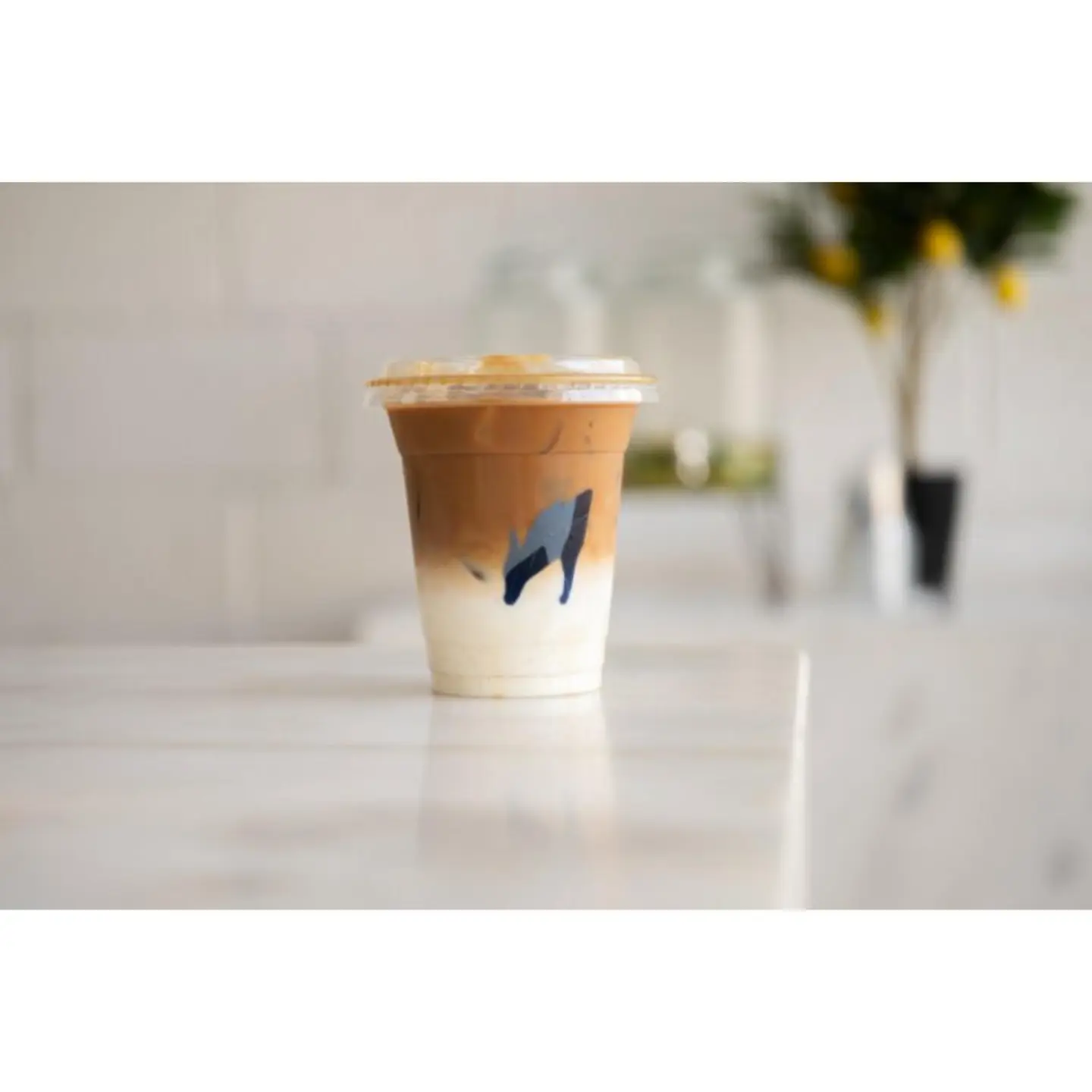Iced Spanish Flat White