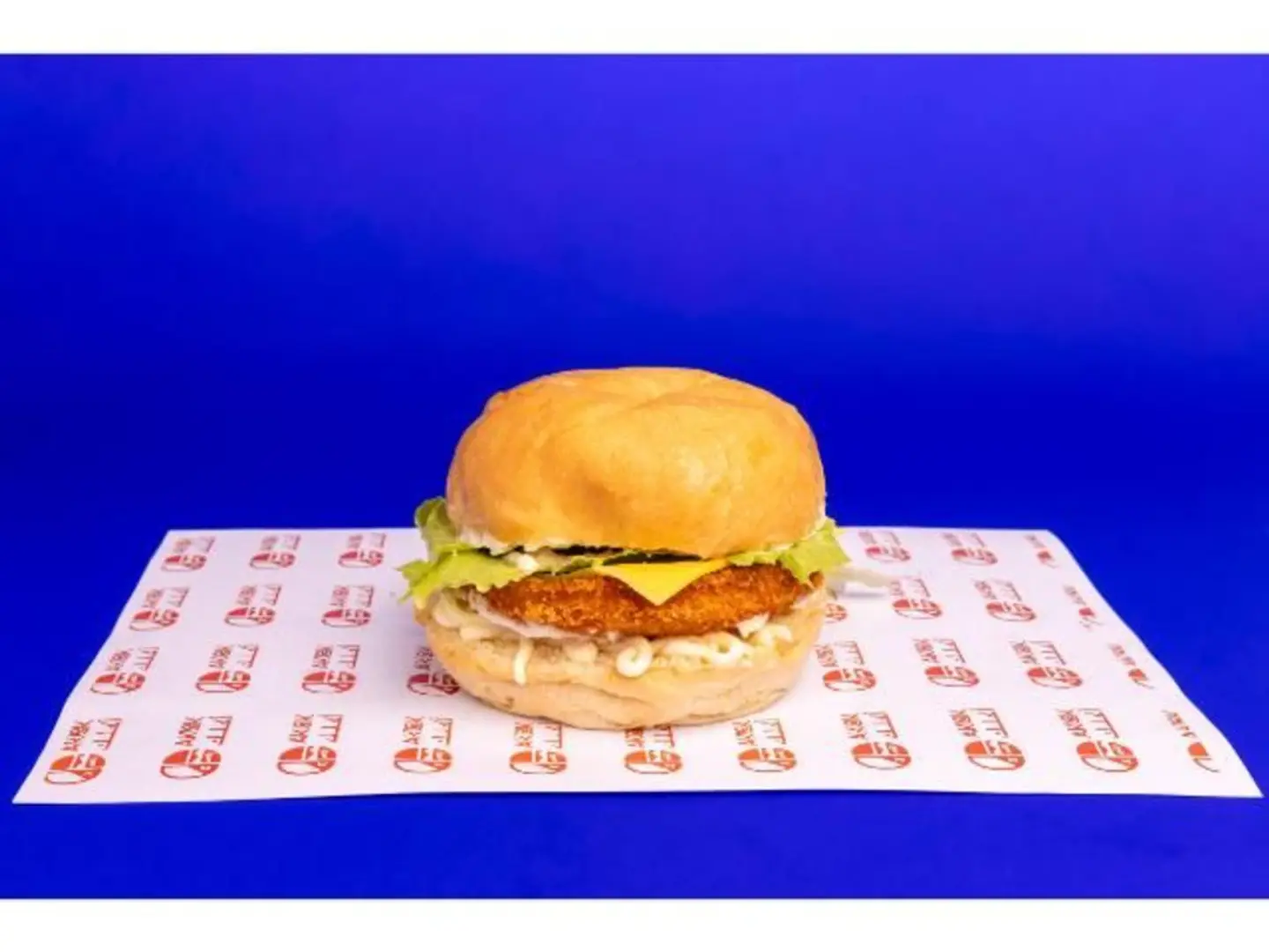 Aklak Chicken Burger