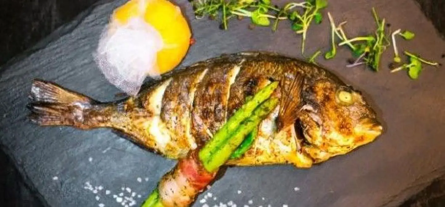 Sea Bream Sinjari
