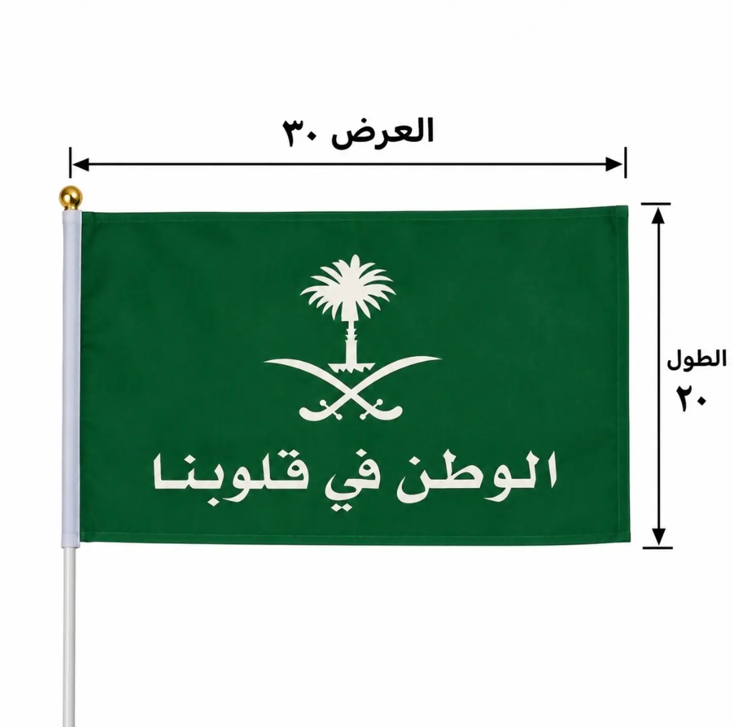 National Day Flag