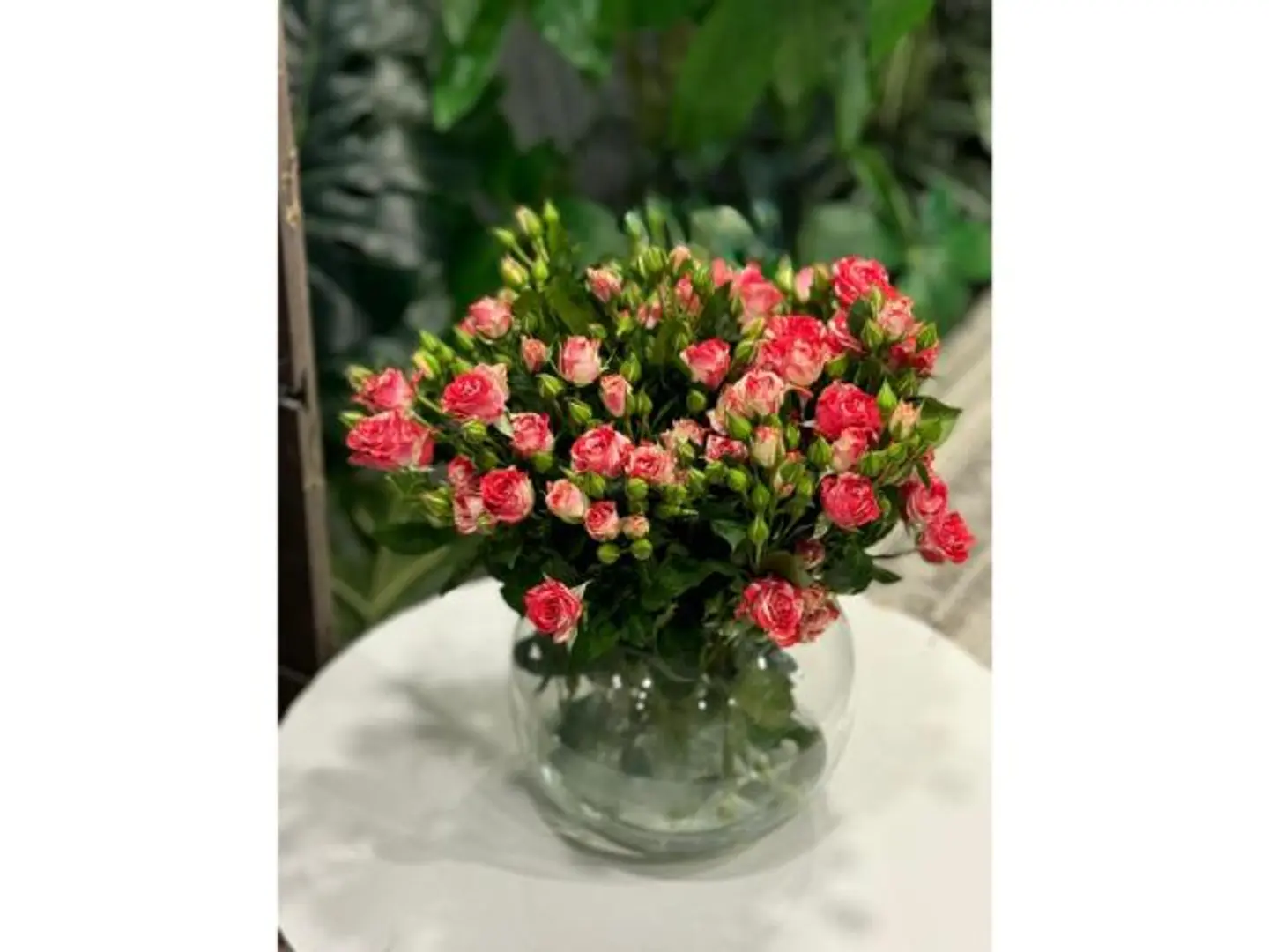 فازة هناي