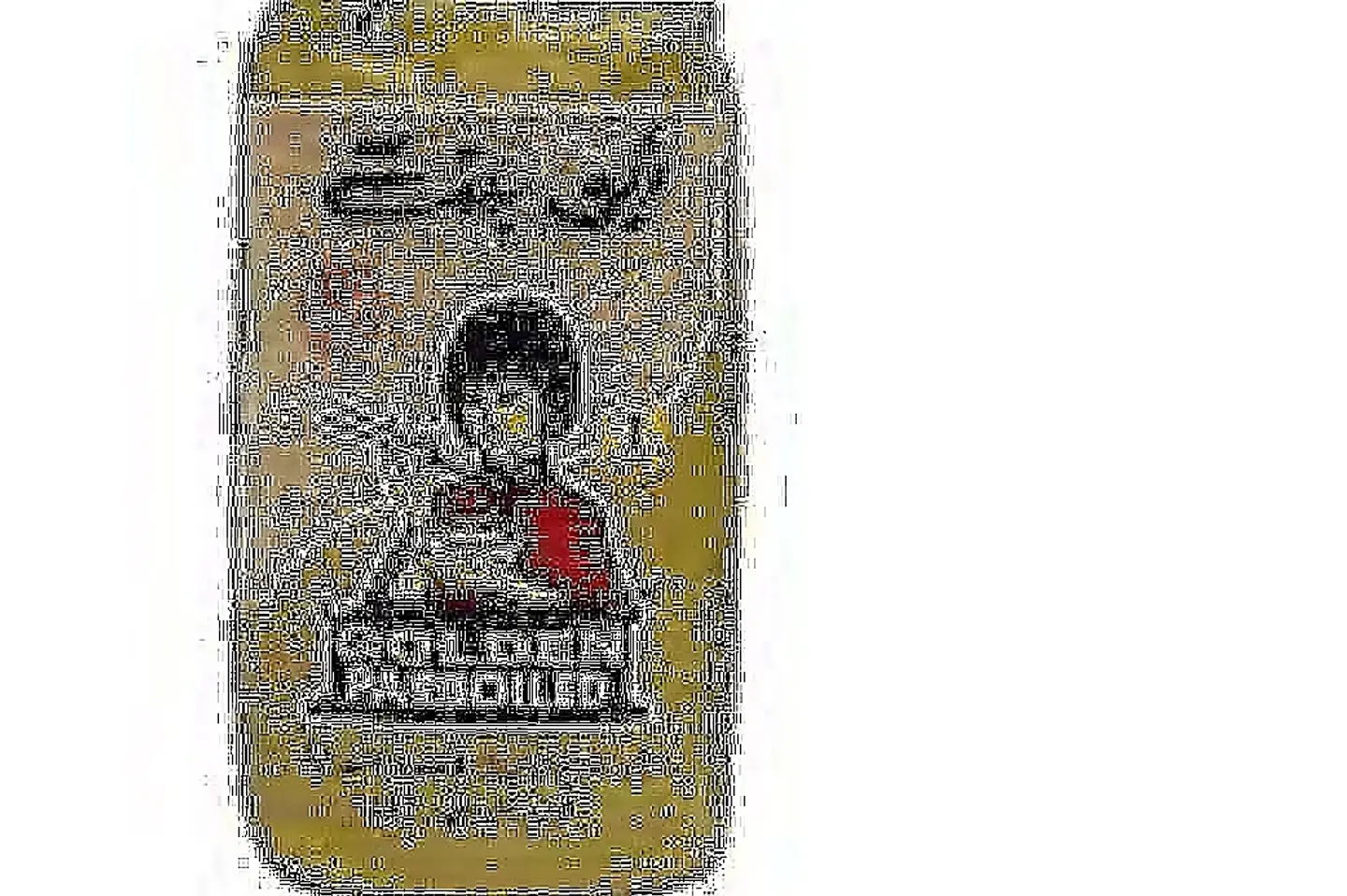 رز ابو بنت واحد كيلو