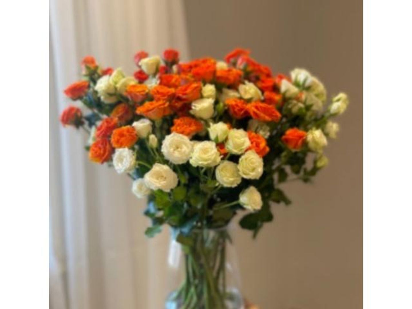 فازة ورد بيبي روز صغيرة