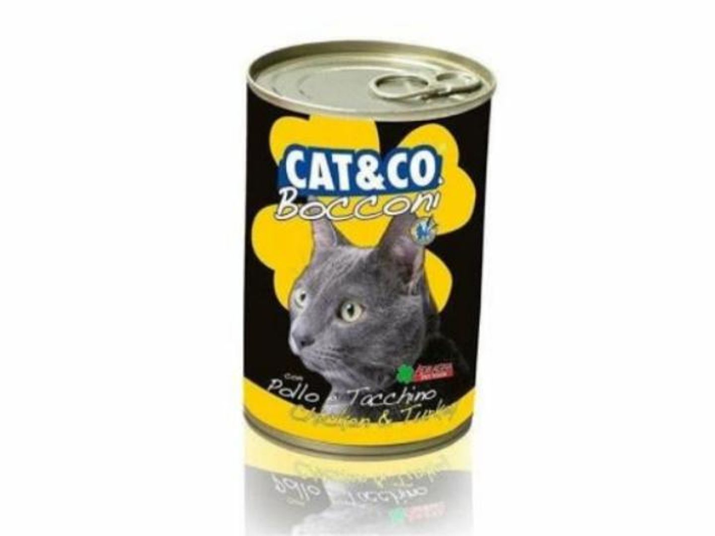 Cat & Co. Wet Salmon 405g
