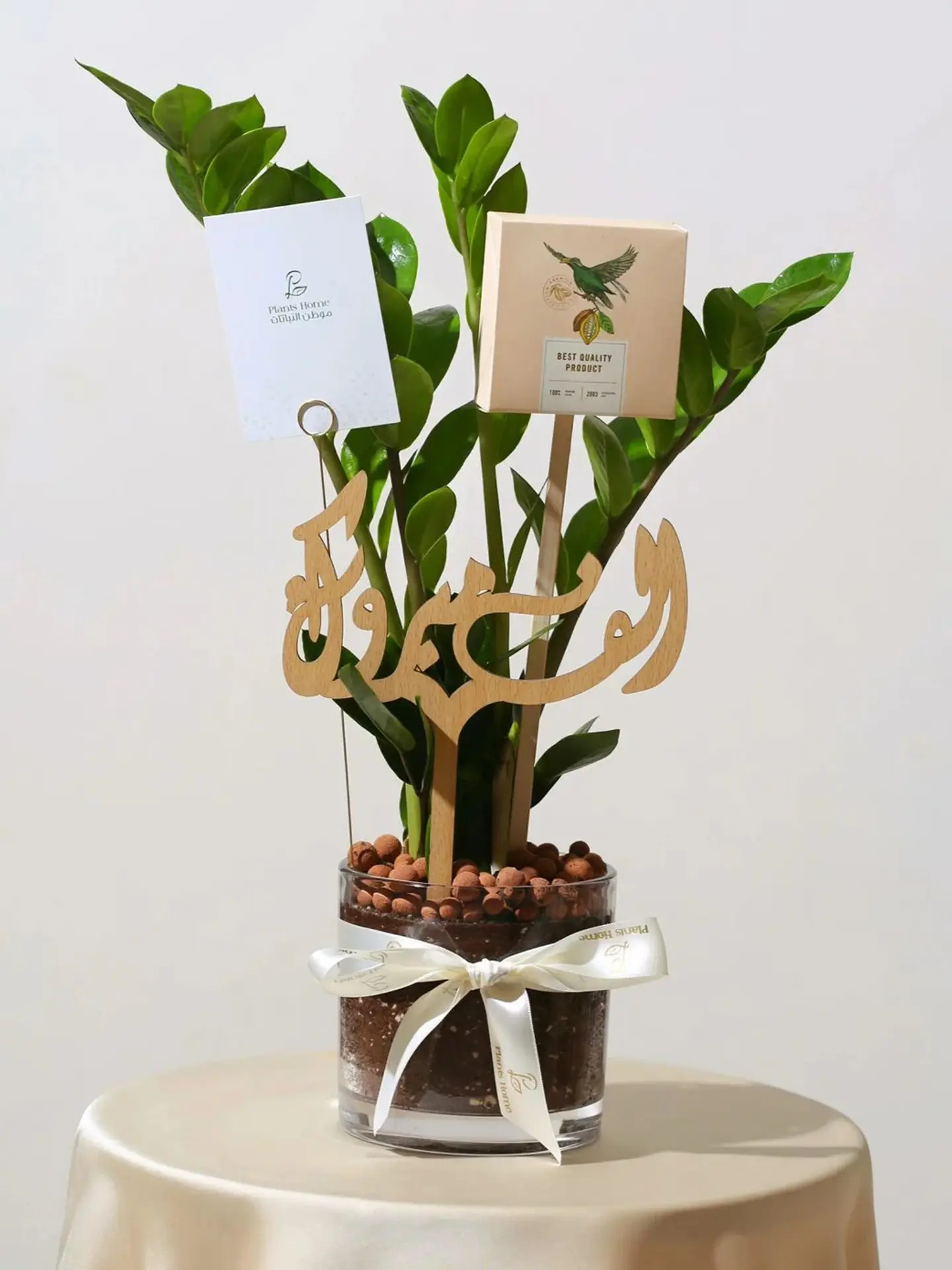 Elegant Zamioculcas In Glass Vase With Anosh Chocolate, Gift Card & Custom Tag
