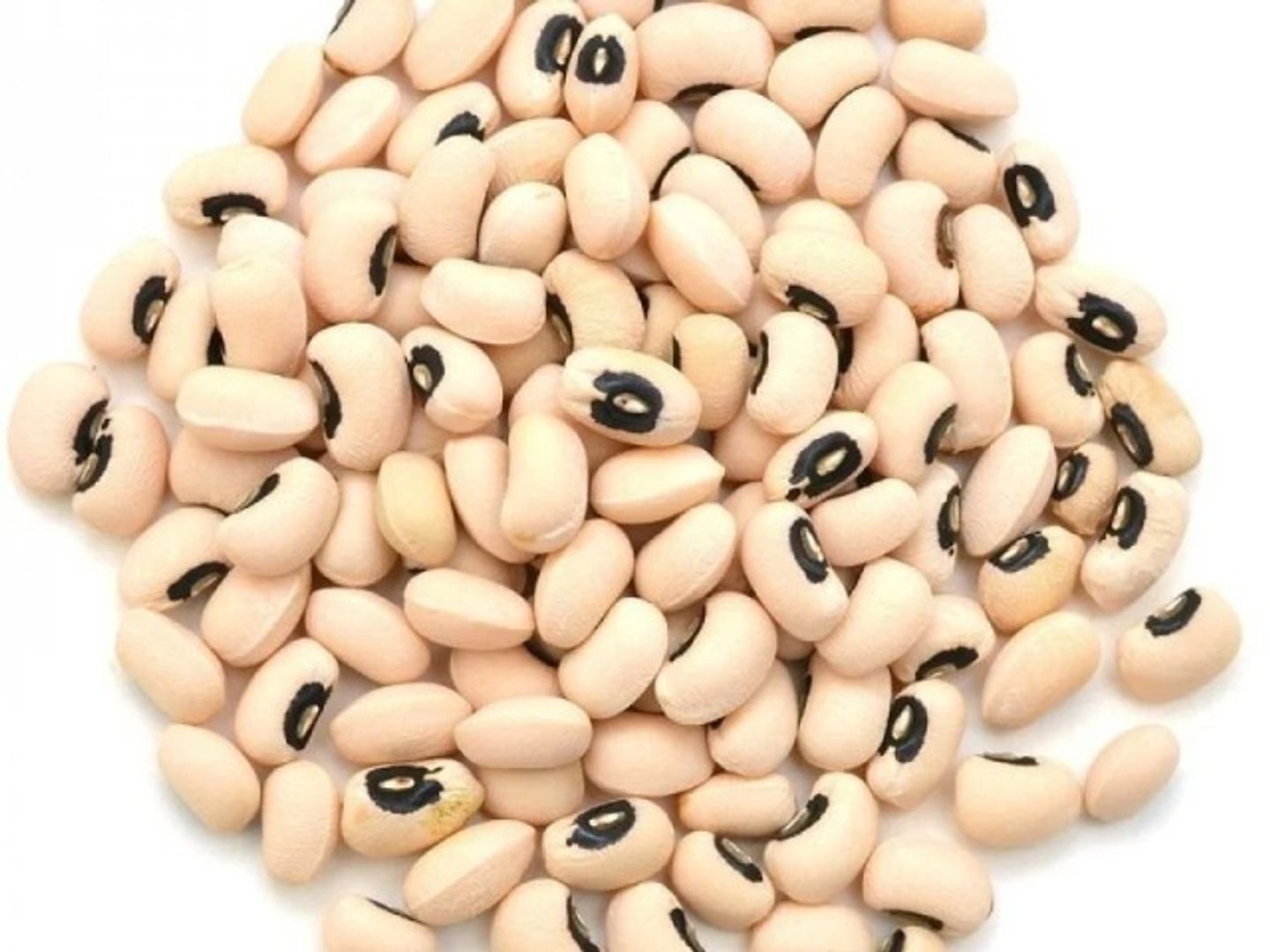 White Kidney Beans