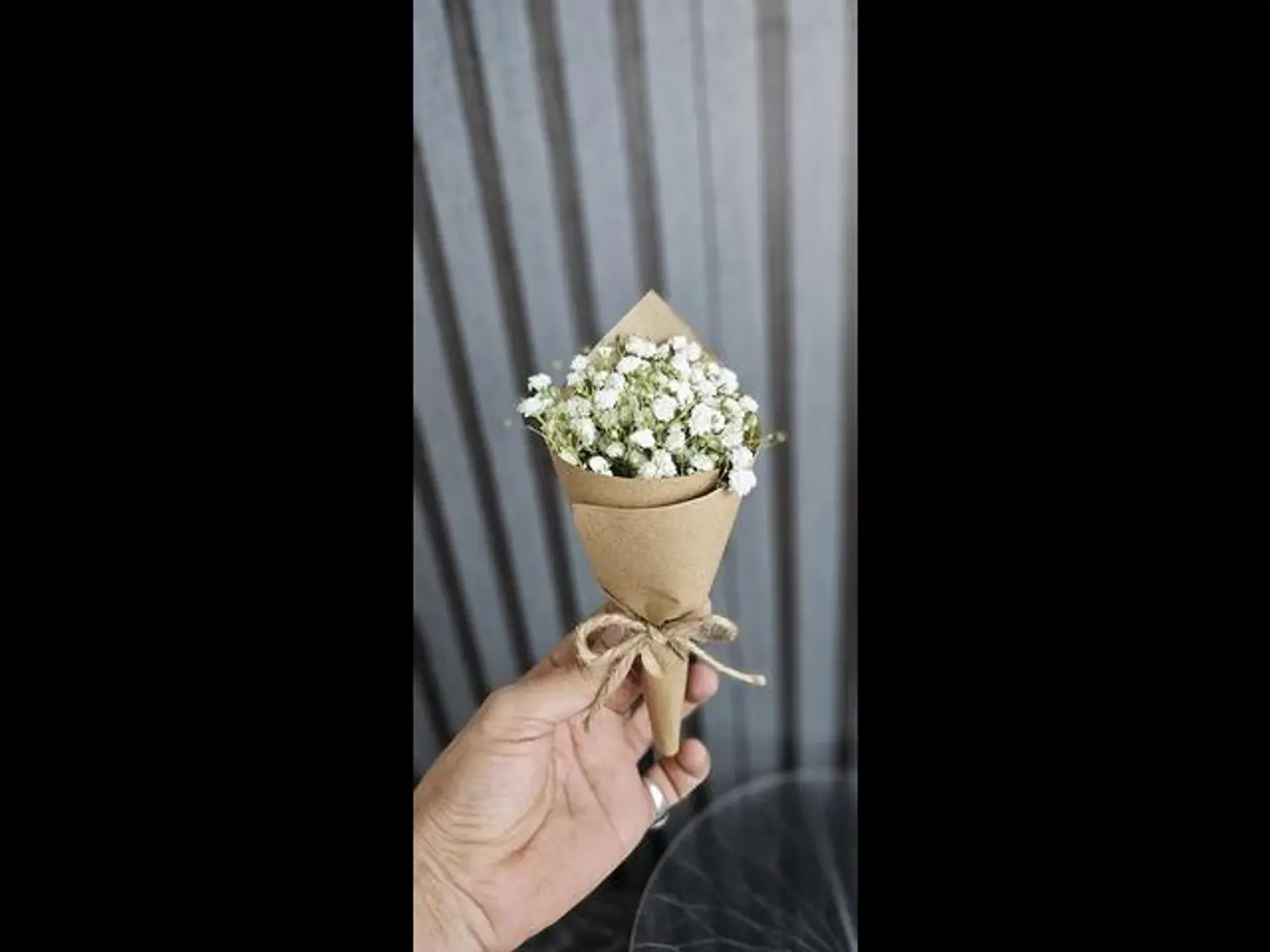 جبسو ابيض