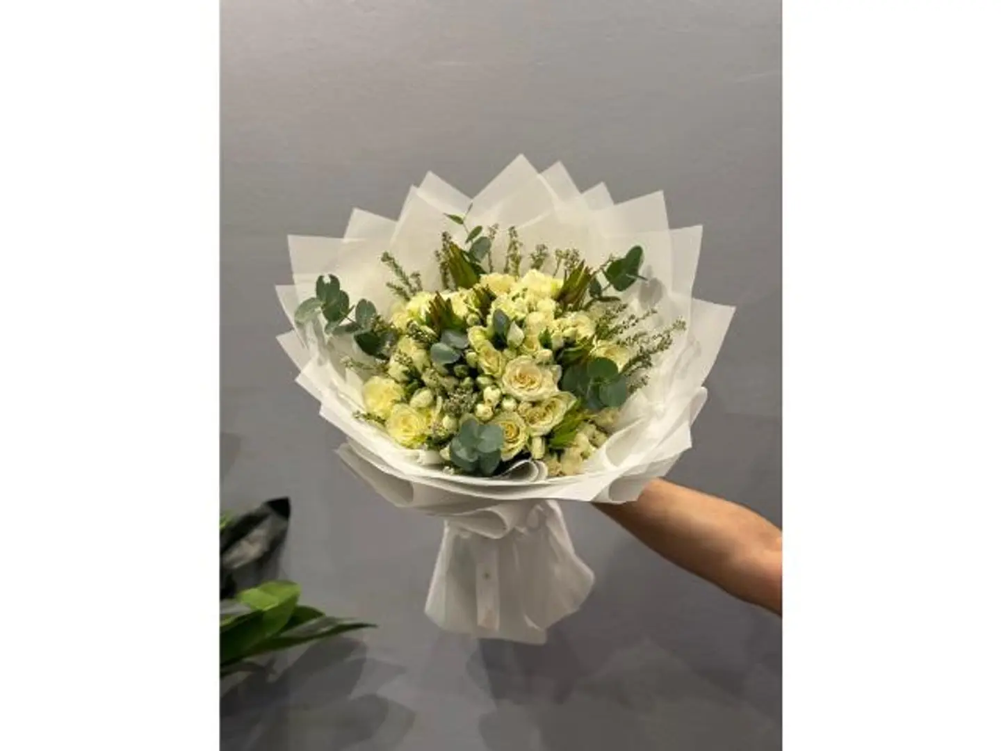 باقة النقاء