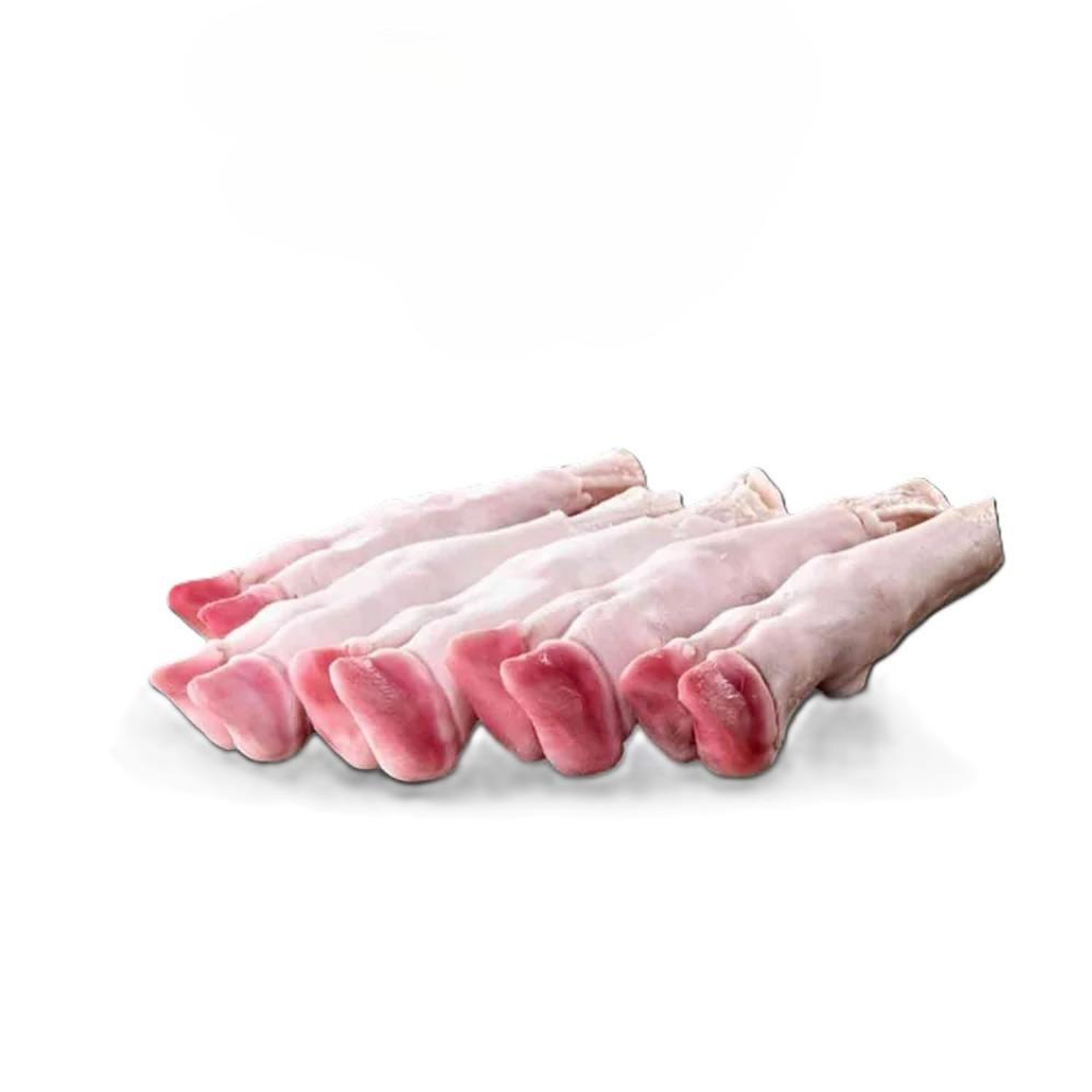 Harri Trotters