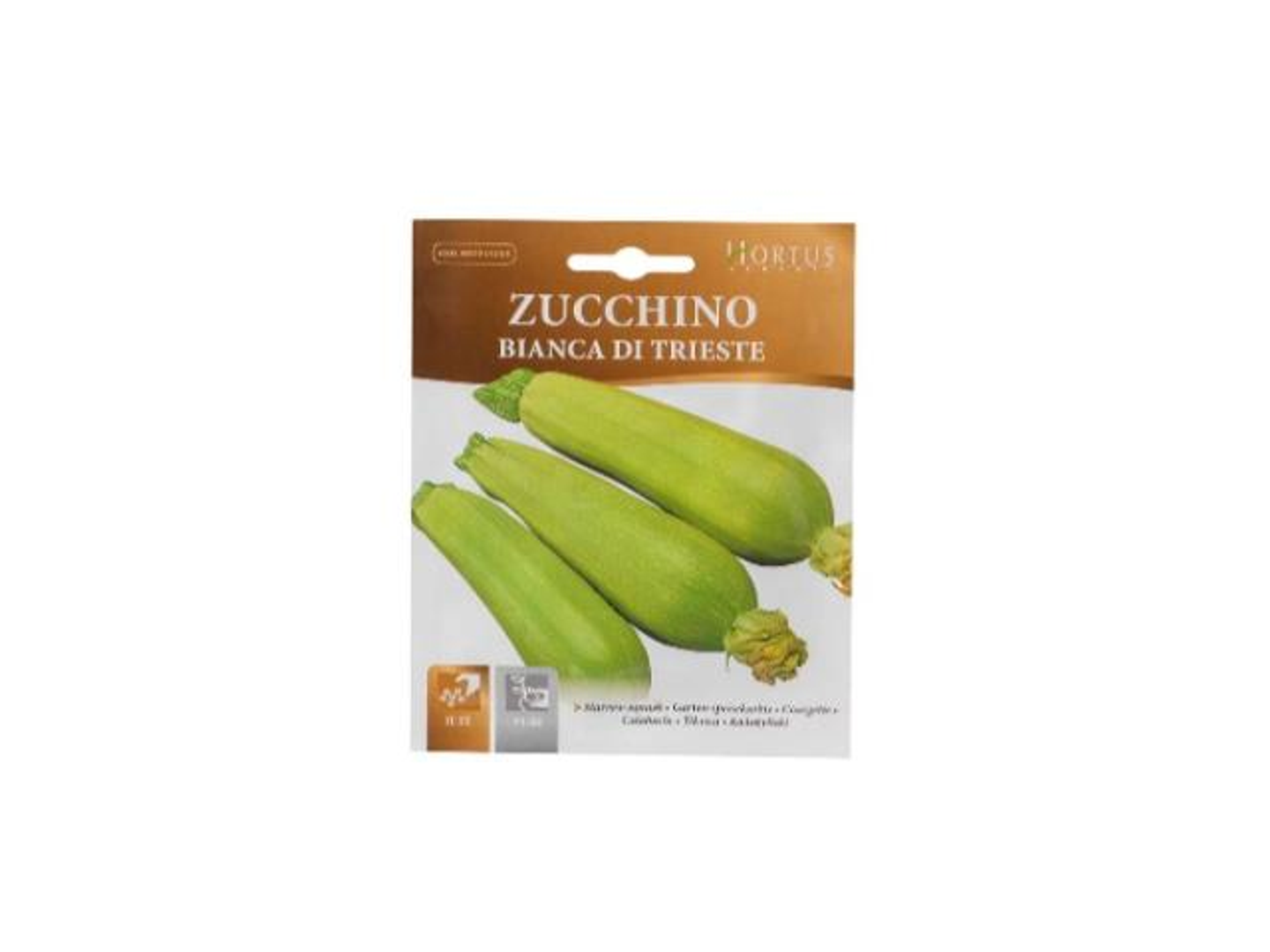 Zucchini Seeds