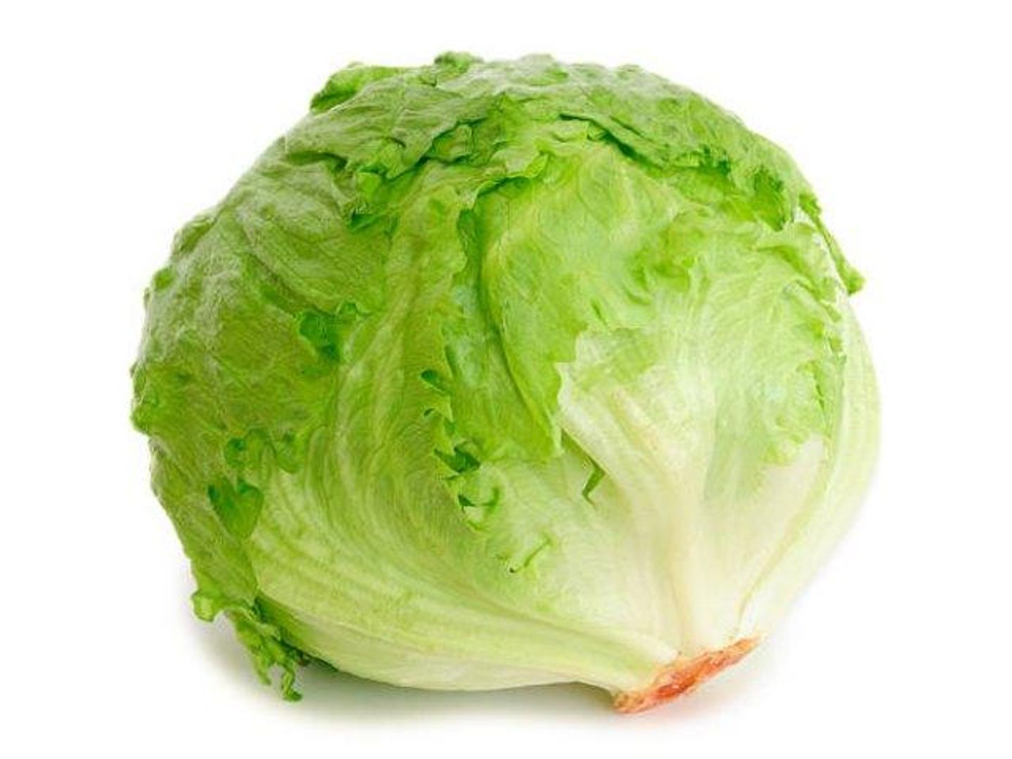 Lettuce Round
