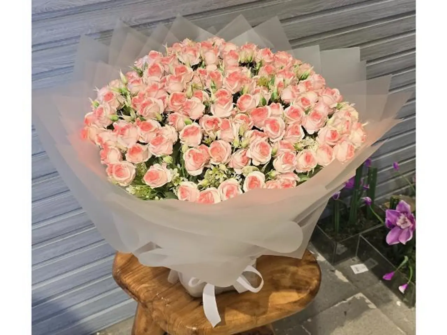 باقة بيبي بينك