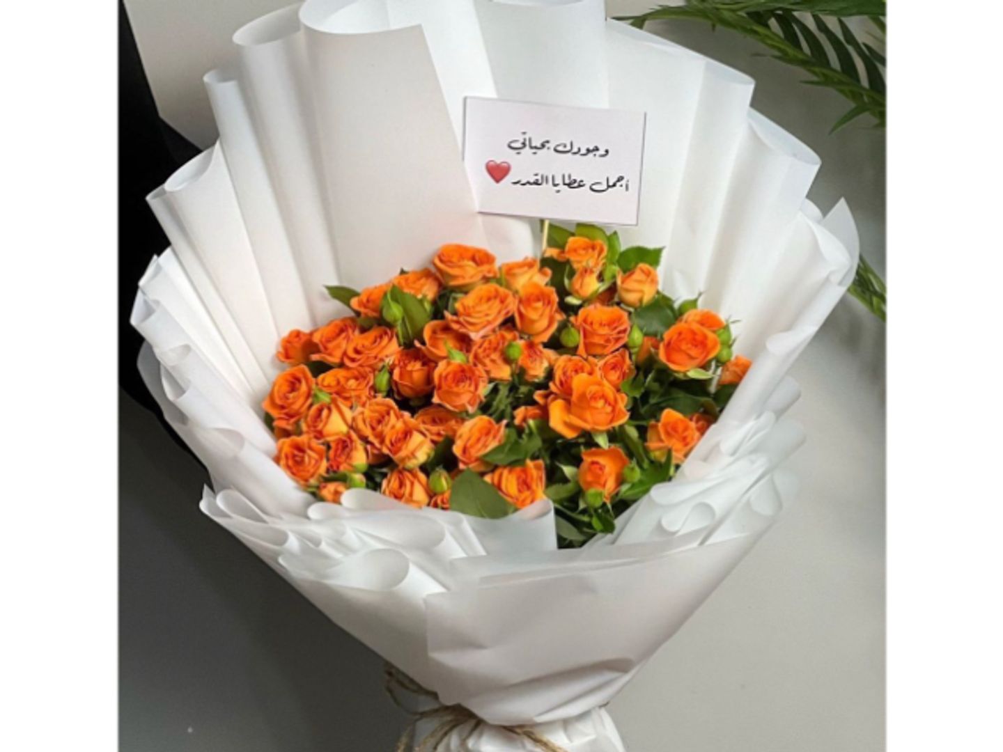 بوكية بيبي جوري برتقالي
