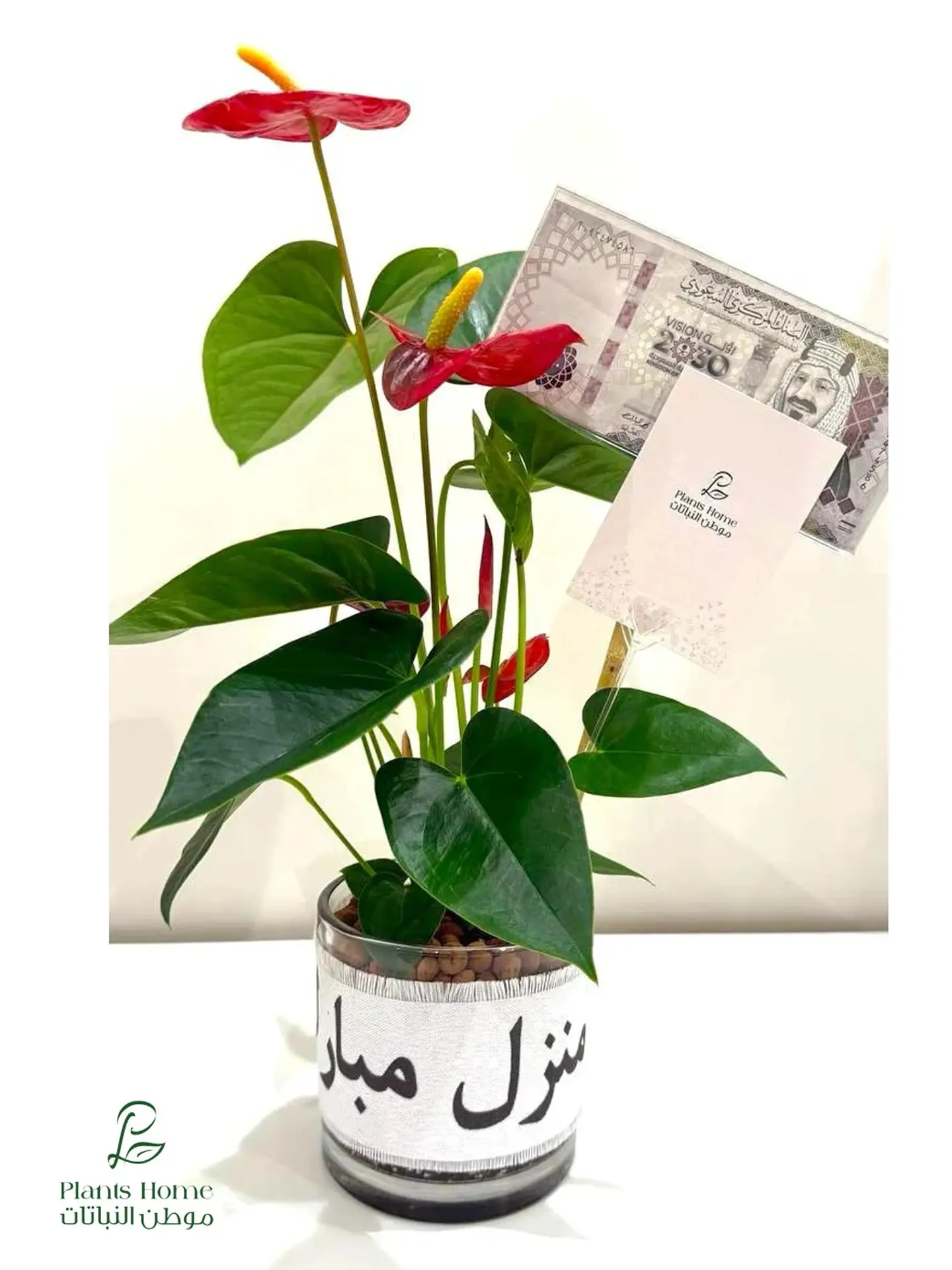 Red Anthurium With Ribbon “New Home Blessings” & Acrylic Money Envelope