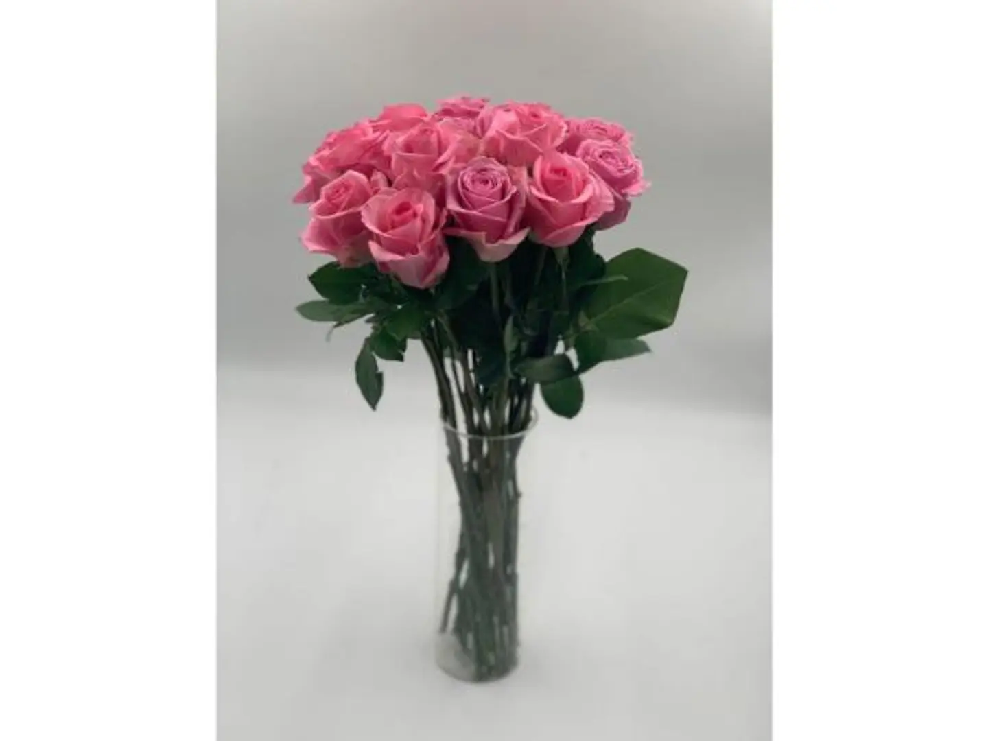 Pink Rose Vase