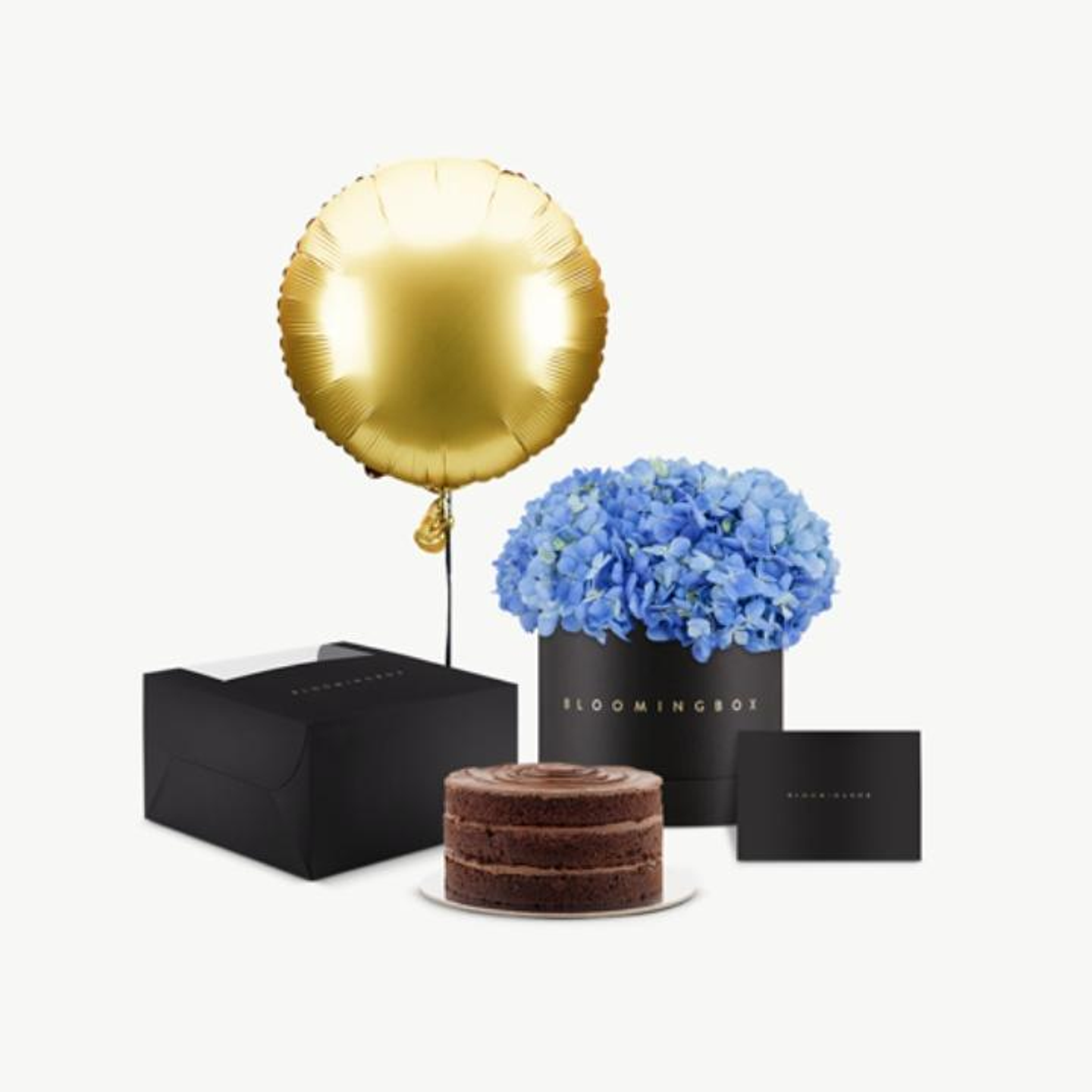 Hydrangeas And Chocolate Fudge Cake Bundle