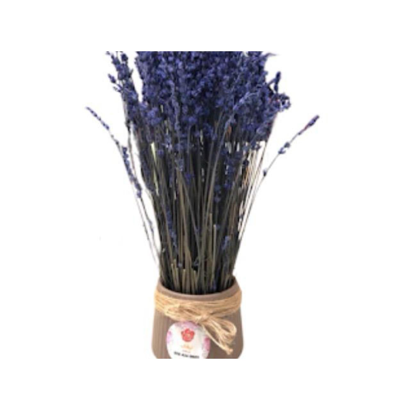 فازة اللافندر