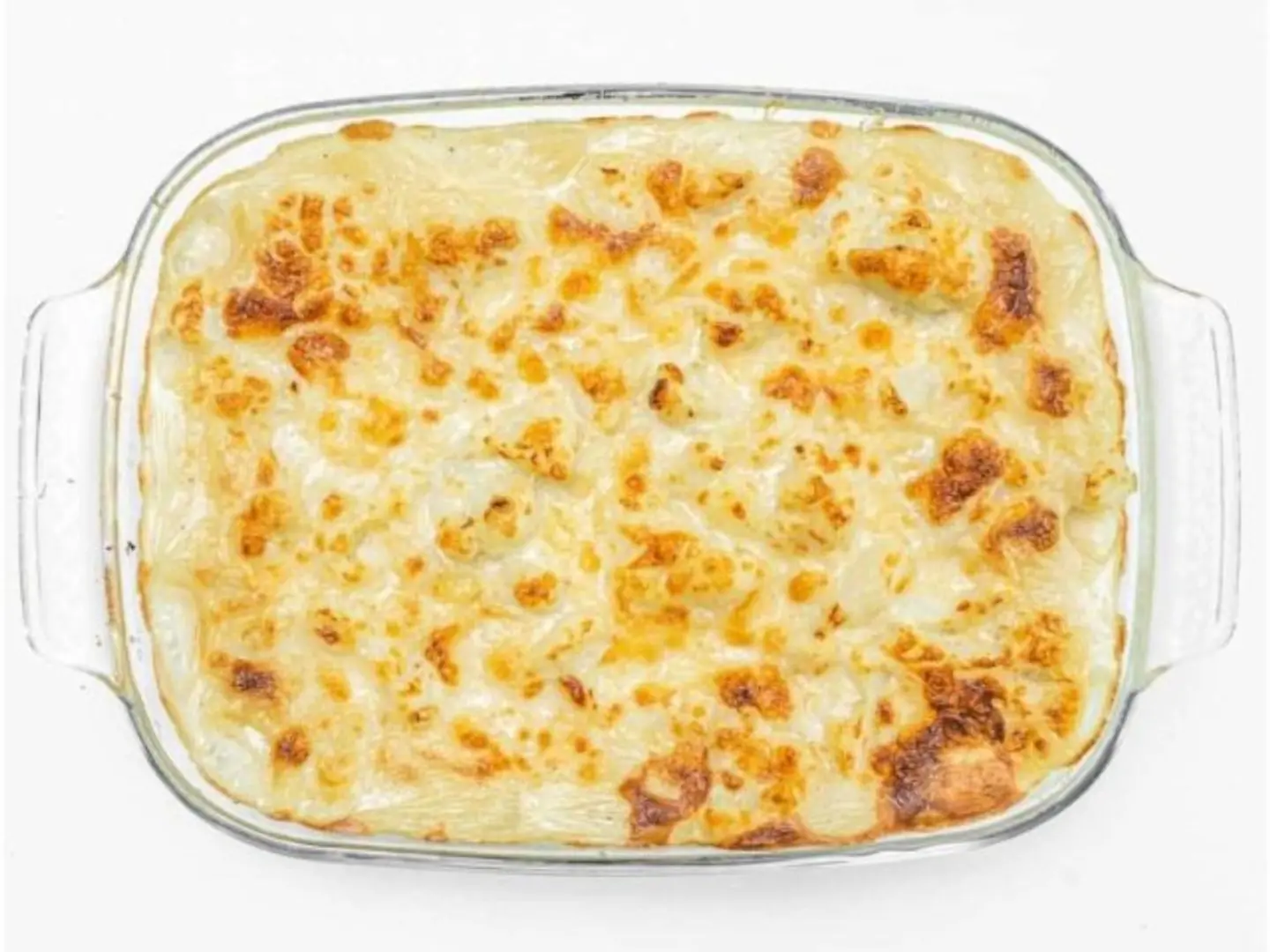 Tuna Bechamel Pasta