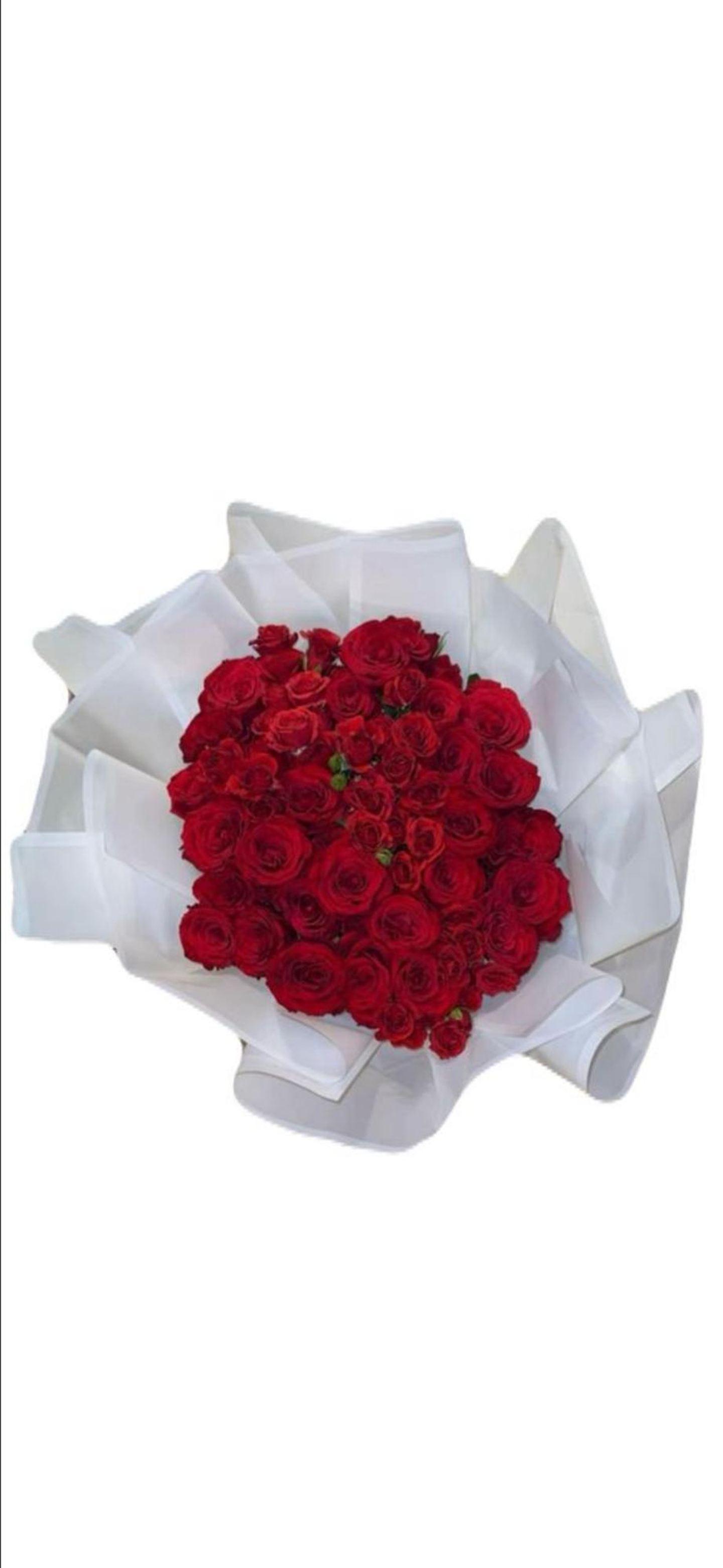 باقة الجوري الأحمر مع البيبي روز