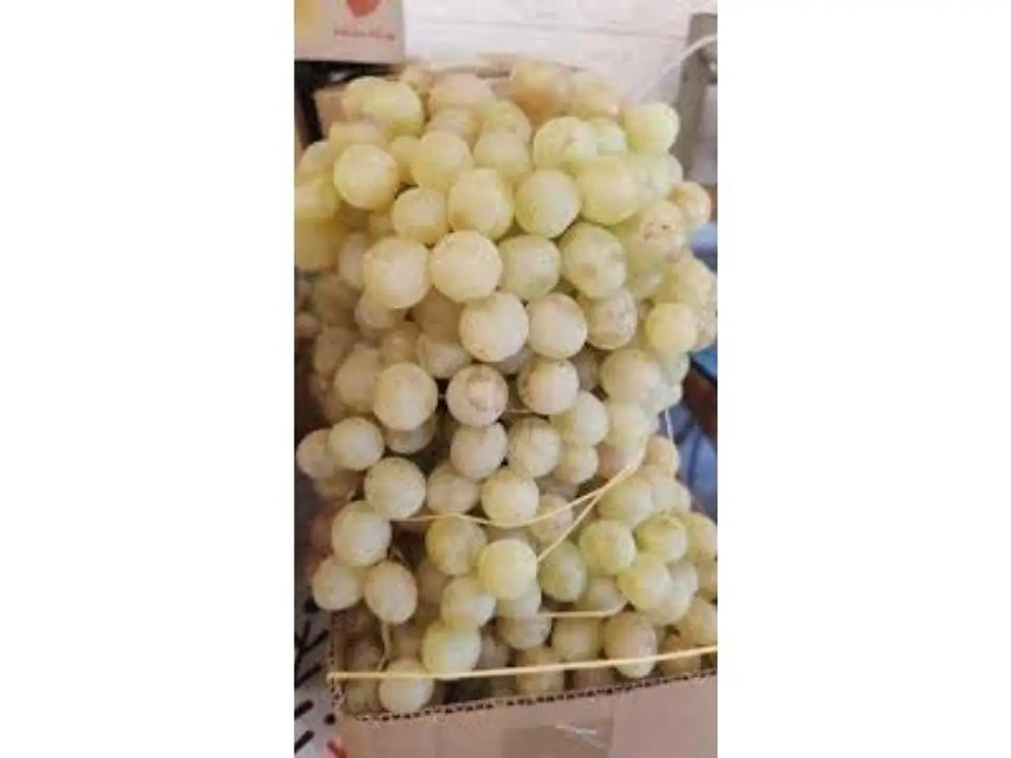 White Grapes