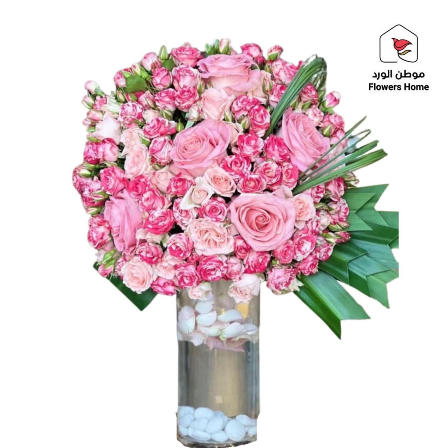فازة 6