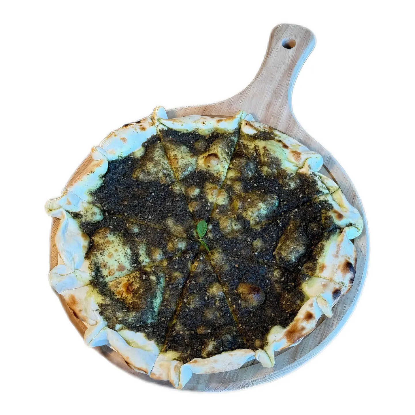 زعتر