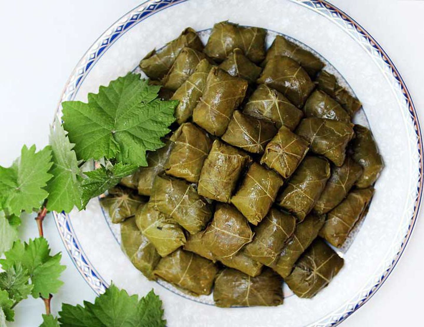 كبيبة حايل ورق عنب
