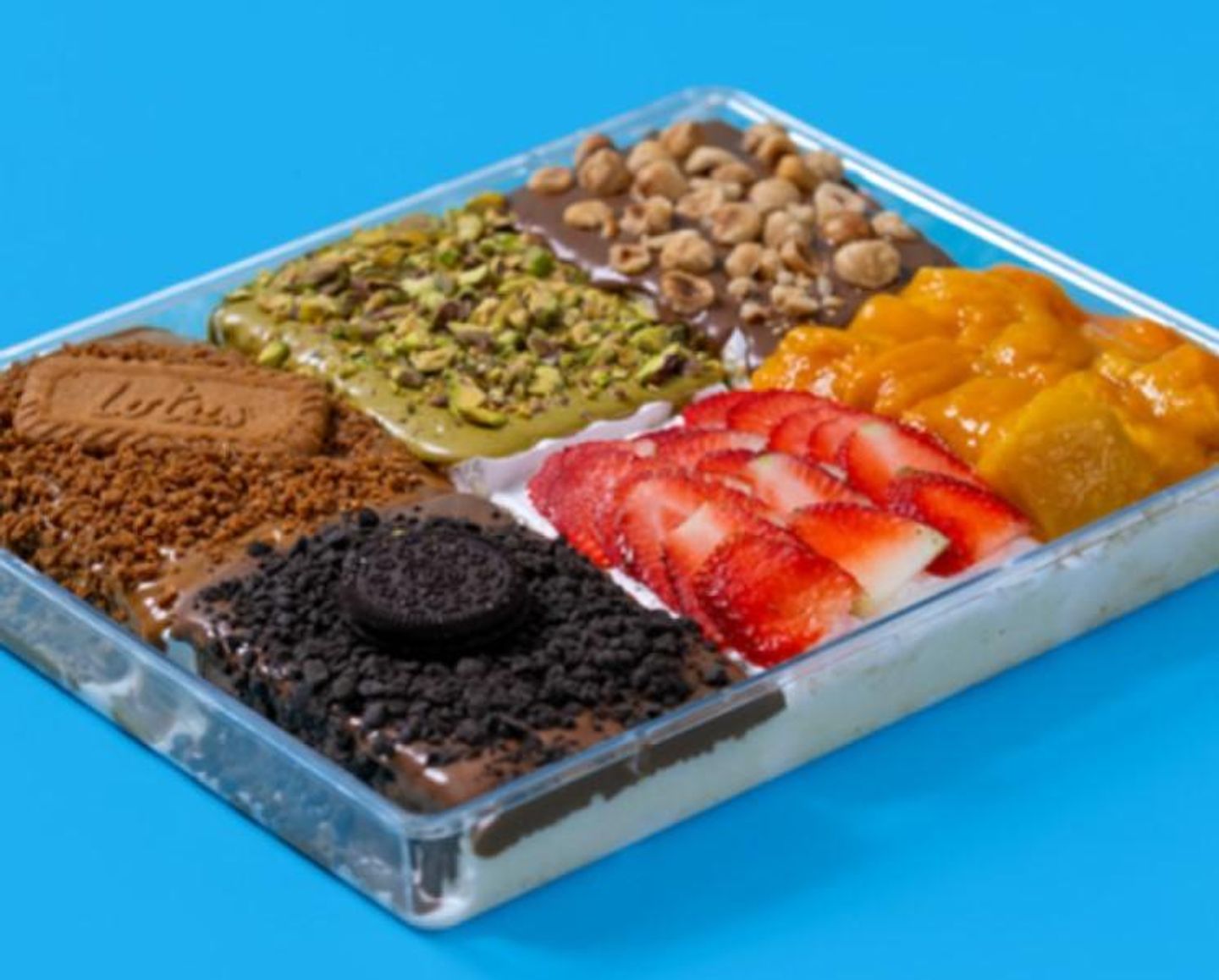 صندوق عائلة قشطوطة في 6