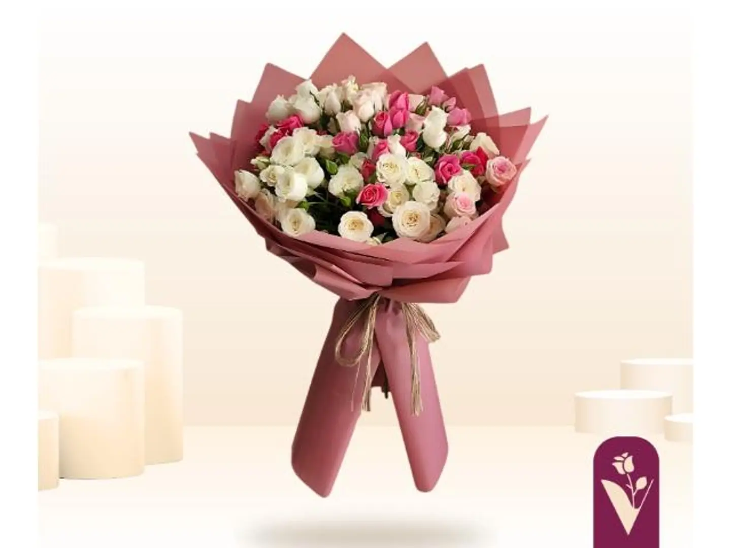 هدوء الأحلام