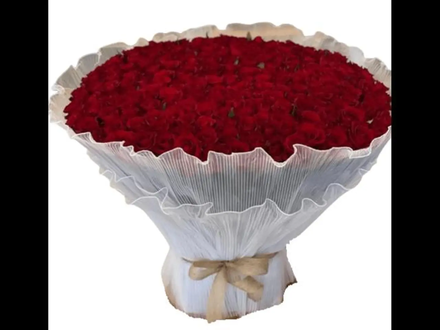 200 جامبو