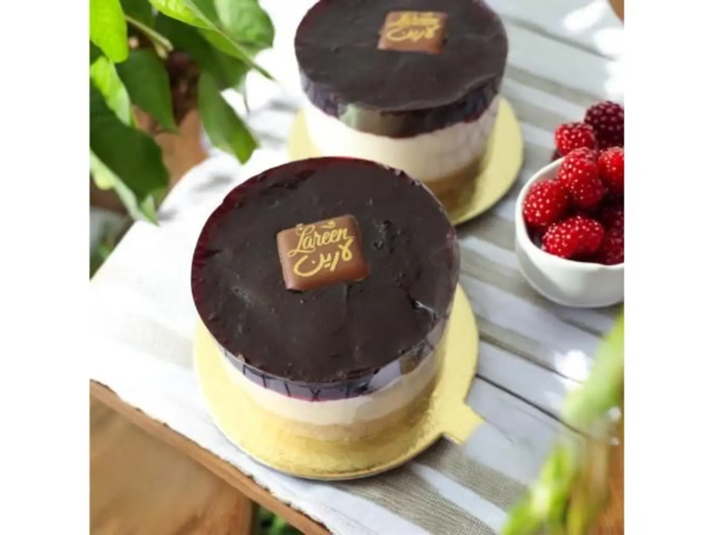 Blueberry Cheesecake