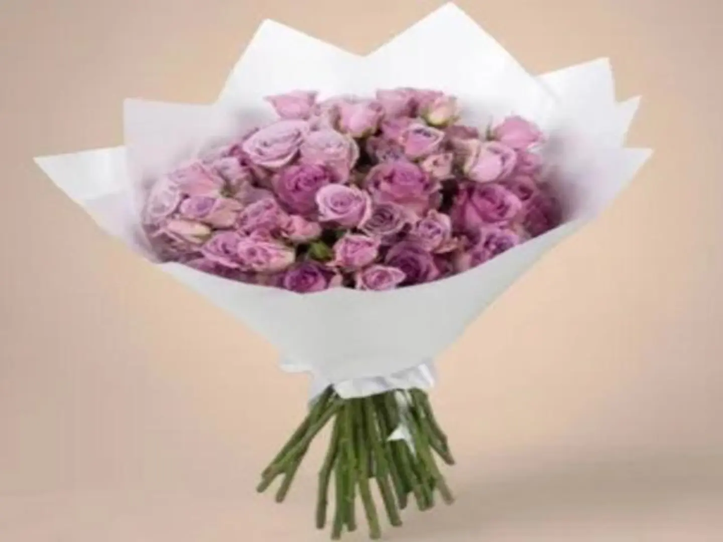 باقة البنفسج